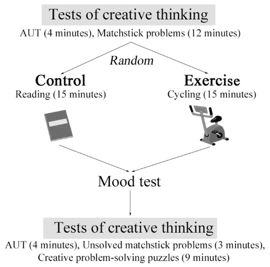 Brain Sciences, Free Full-Text