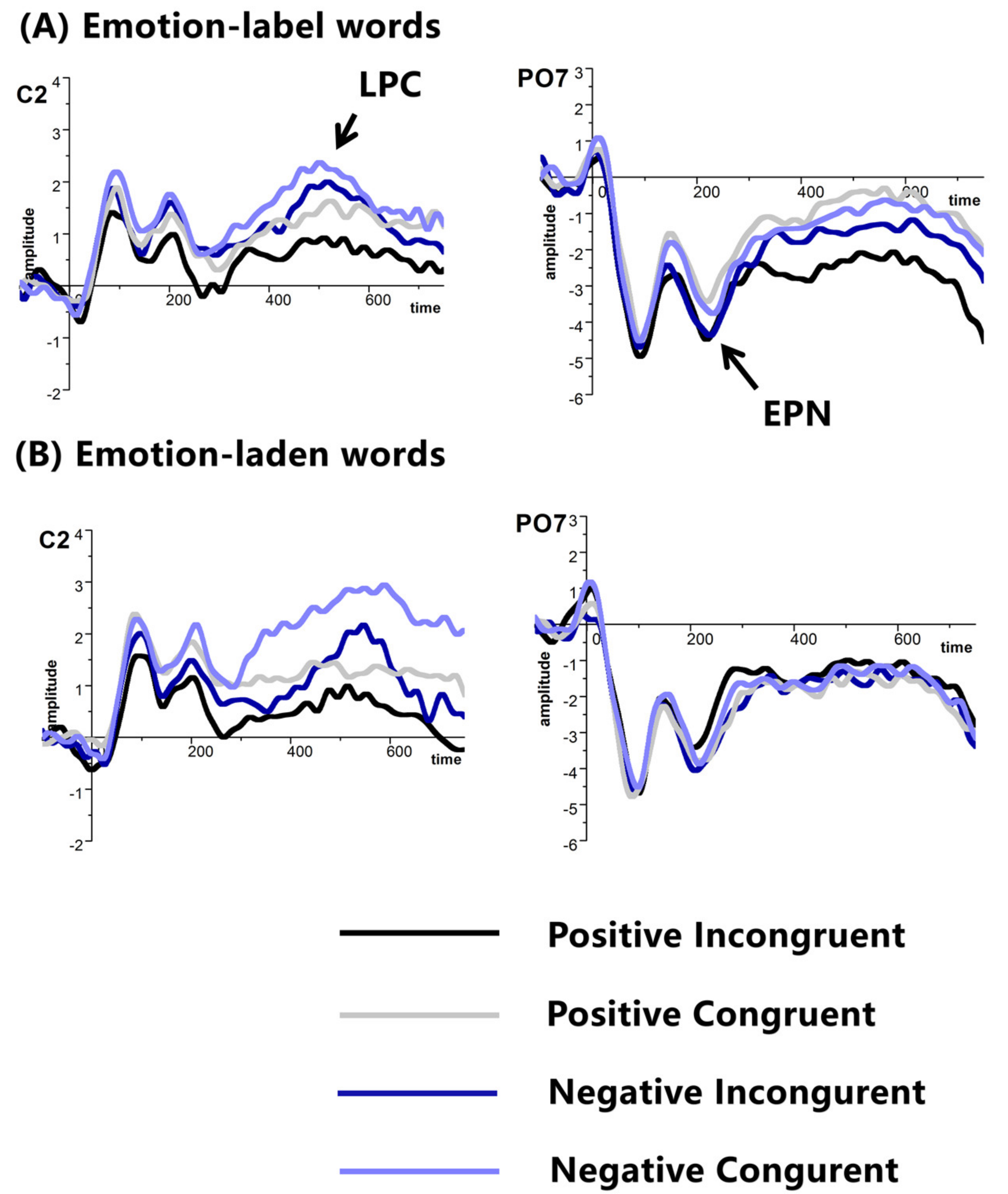 Brainsci 11 00553 g003 Brainsci 11 00553 g003