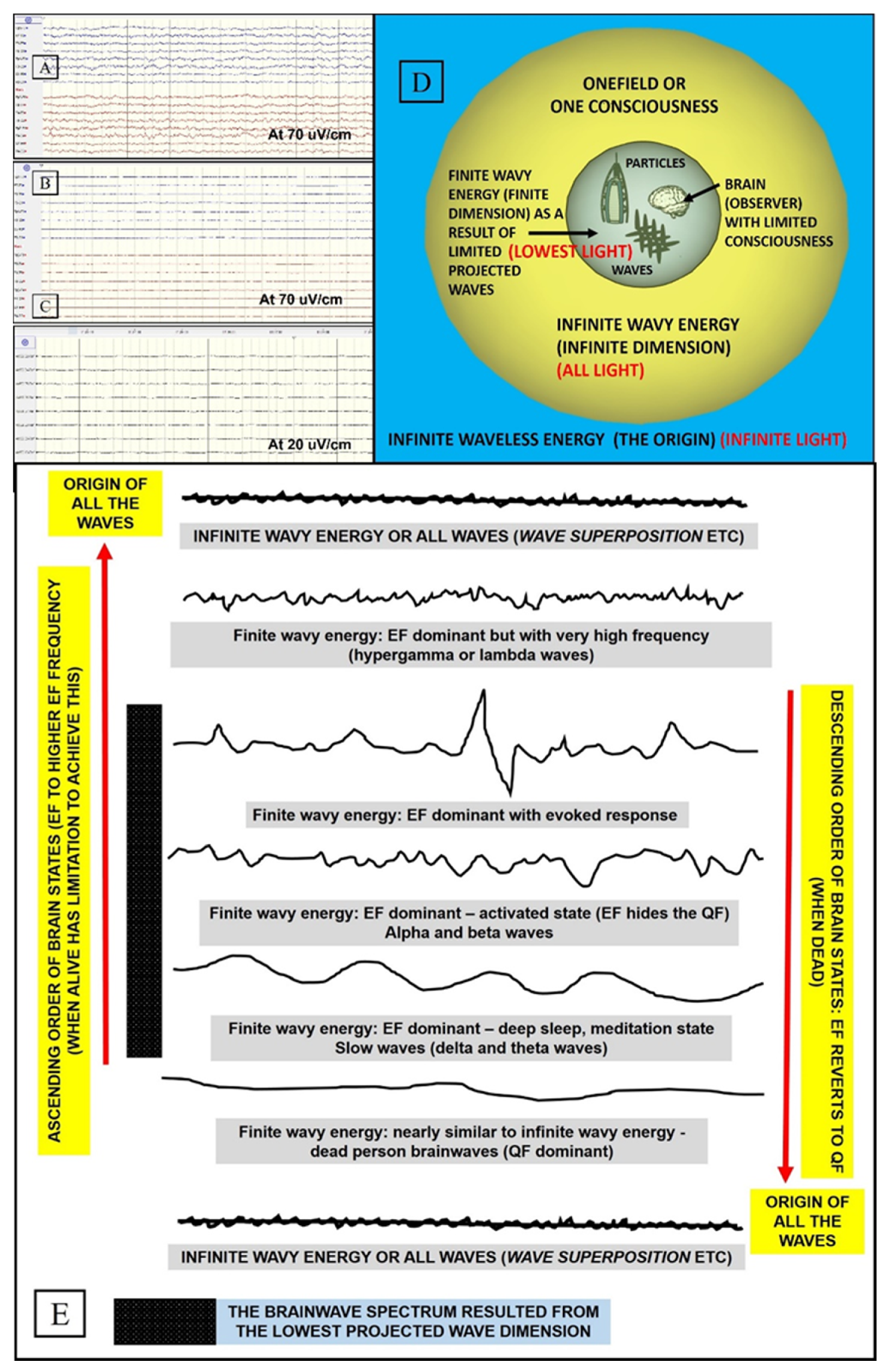 Brainsci 11 00558 g004 Brainsci 11 00558 g004