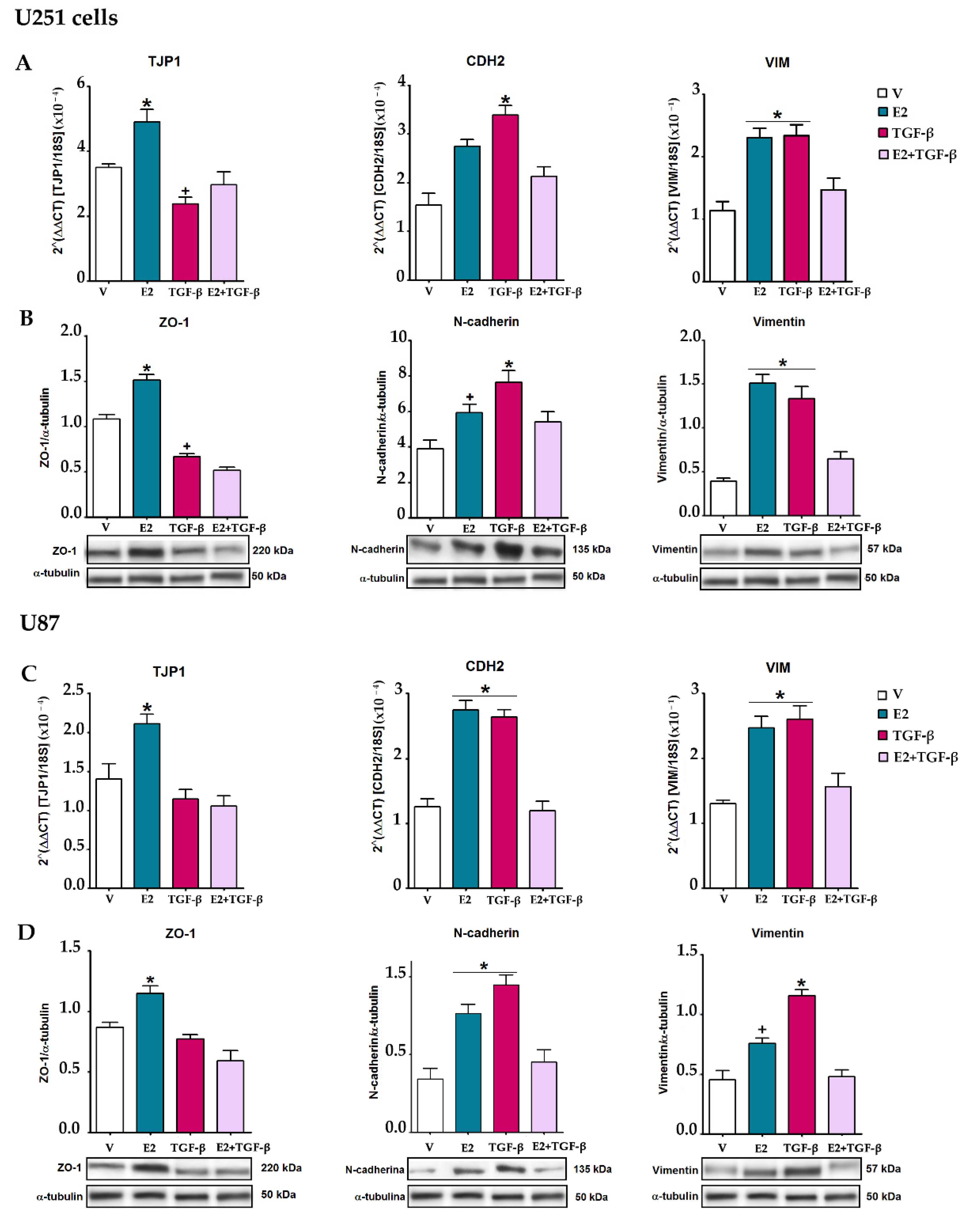 Brainsci 11 00564 g006 Brainsci 11 00564 g006