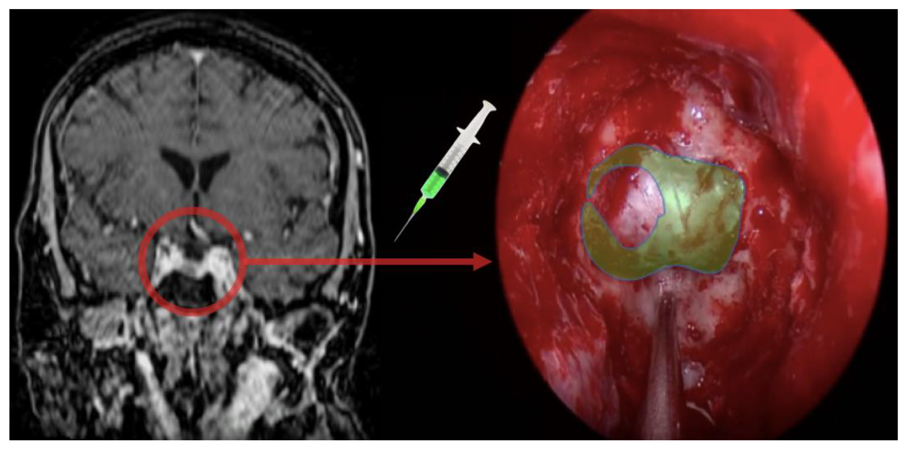Brainsci 11 00565 g002