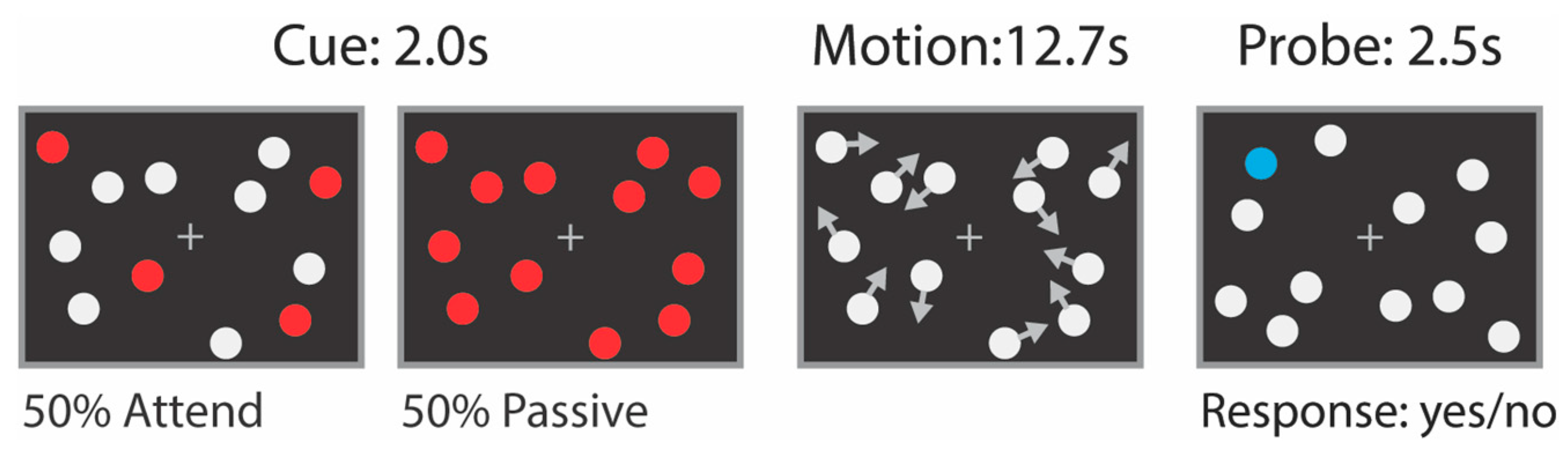 Vis de fixation - TRS, 2.5 ST