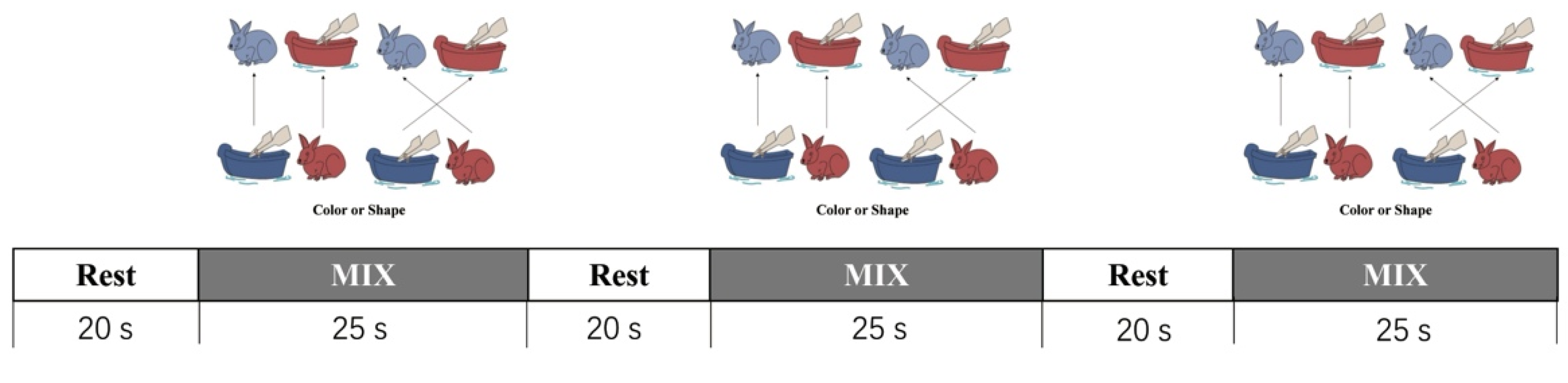 Brainsci 11 00567 g002 Brainsci 11 00567 g002