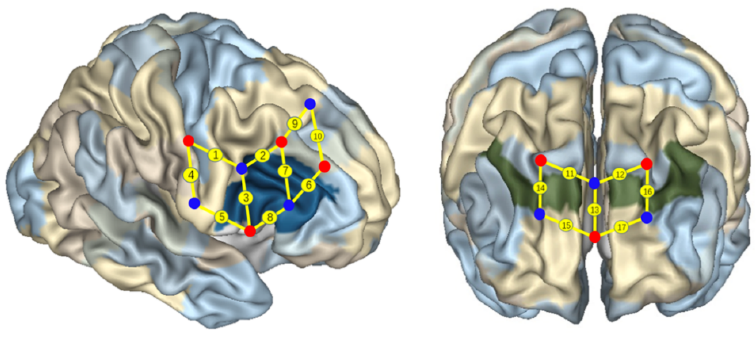 Brainsci 11 00567 g003 Brainsci 11 00567 g003