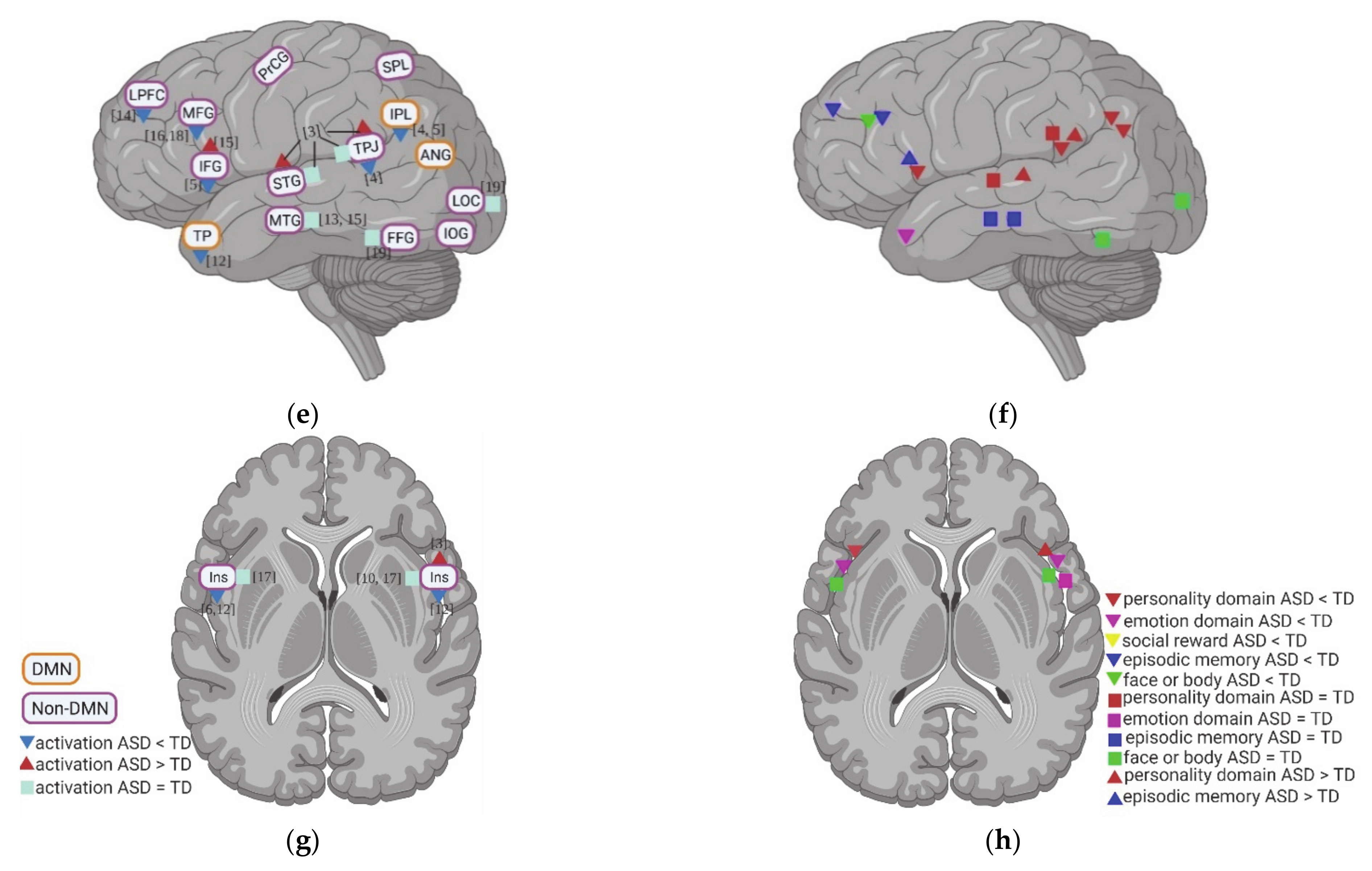 Brainsci 11 00574 g001b