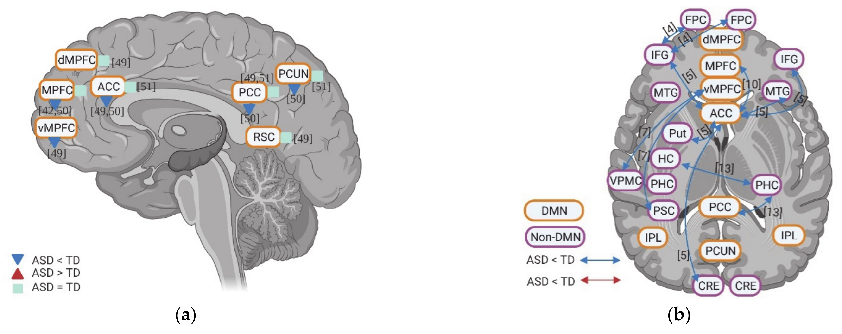 Brainsci 11 00574 g002