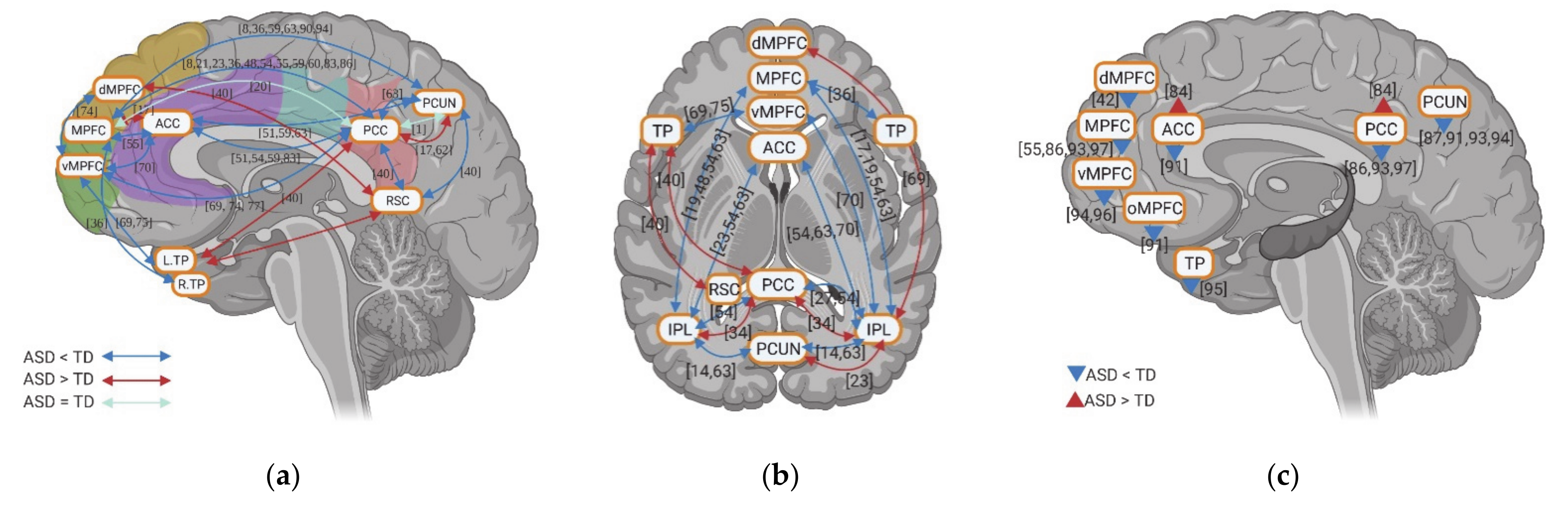 Brainsci 11 00574 g003