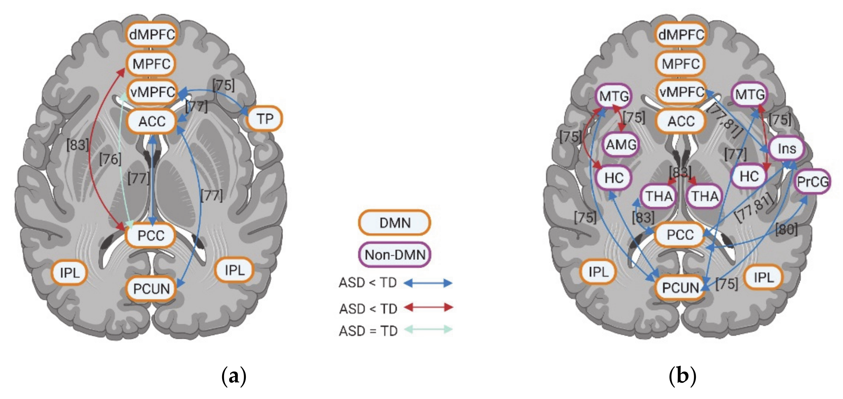 Brainsci 11 00574 g004