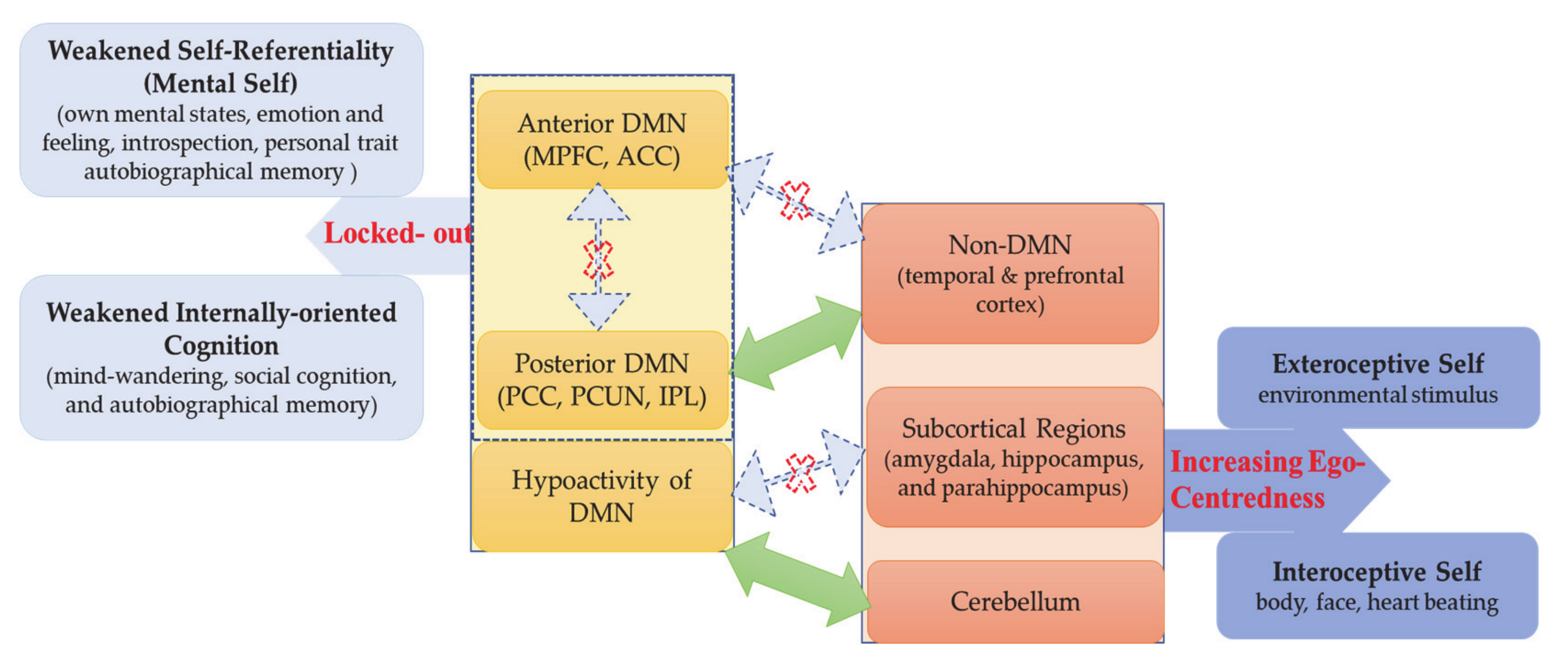 Brainsci 11 00574 g007
