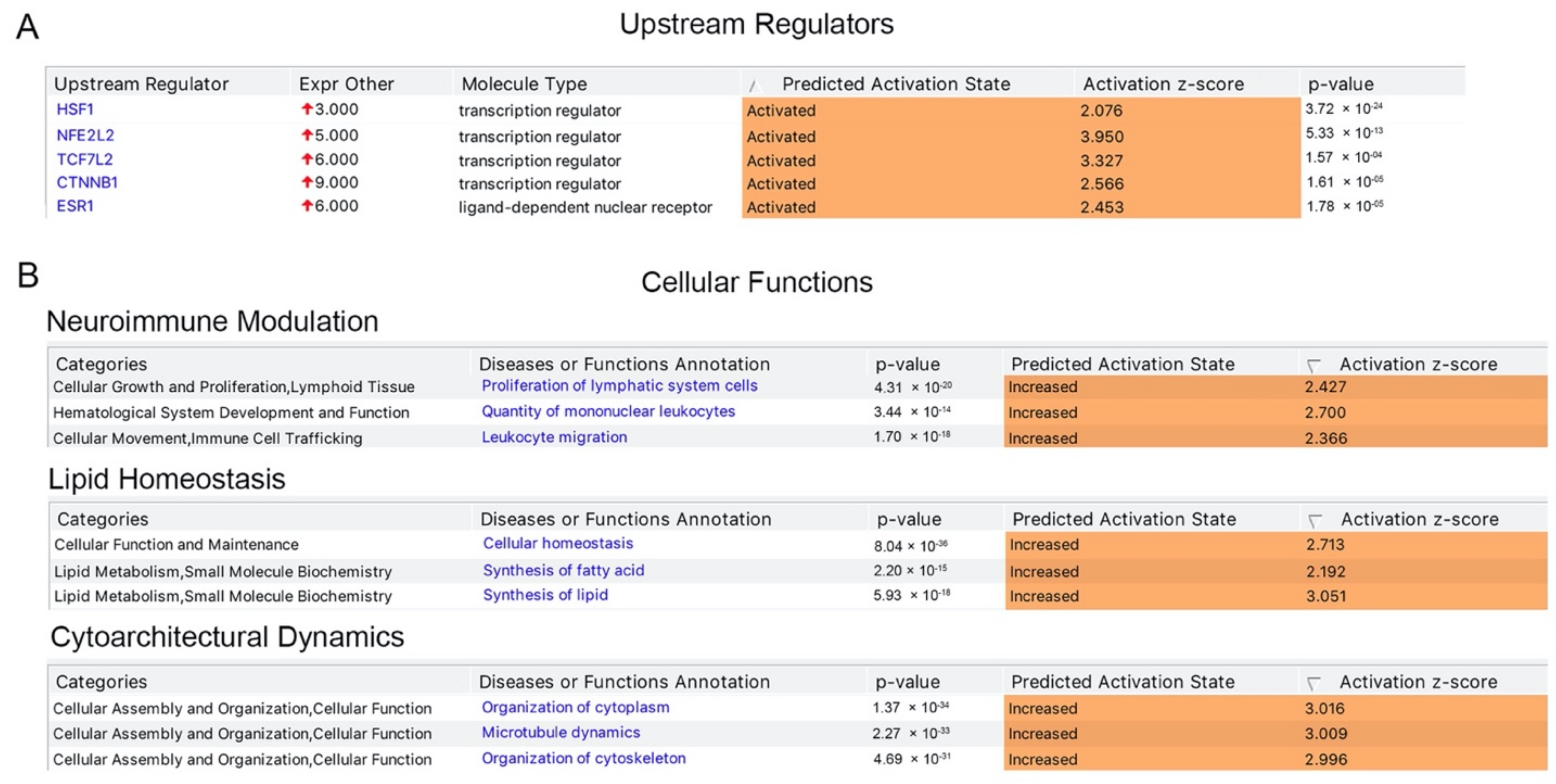 Brainsci 11 00578 g002 Brainsci 11 00578 g002
