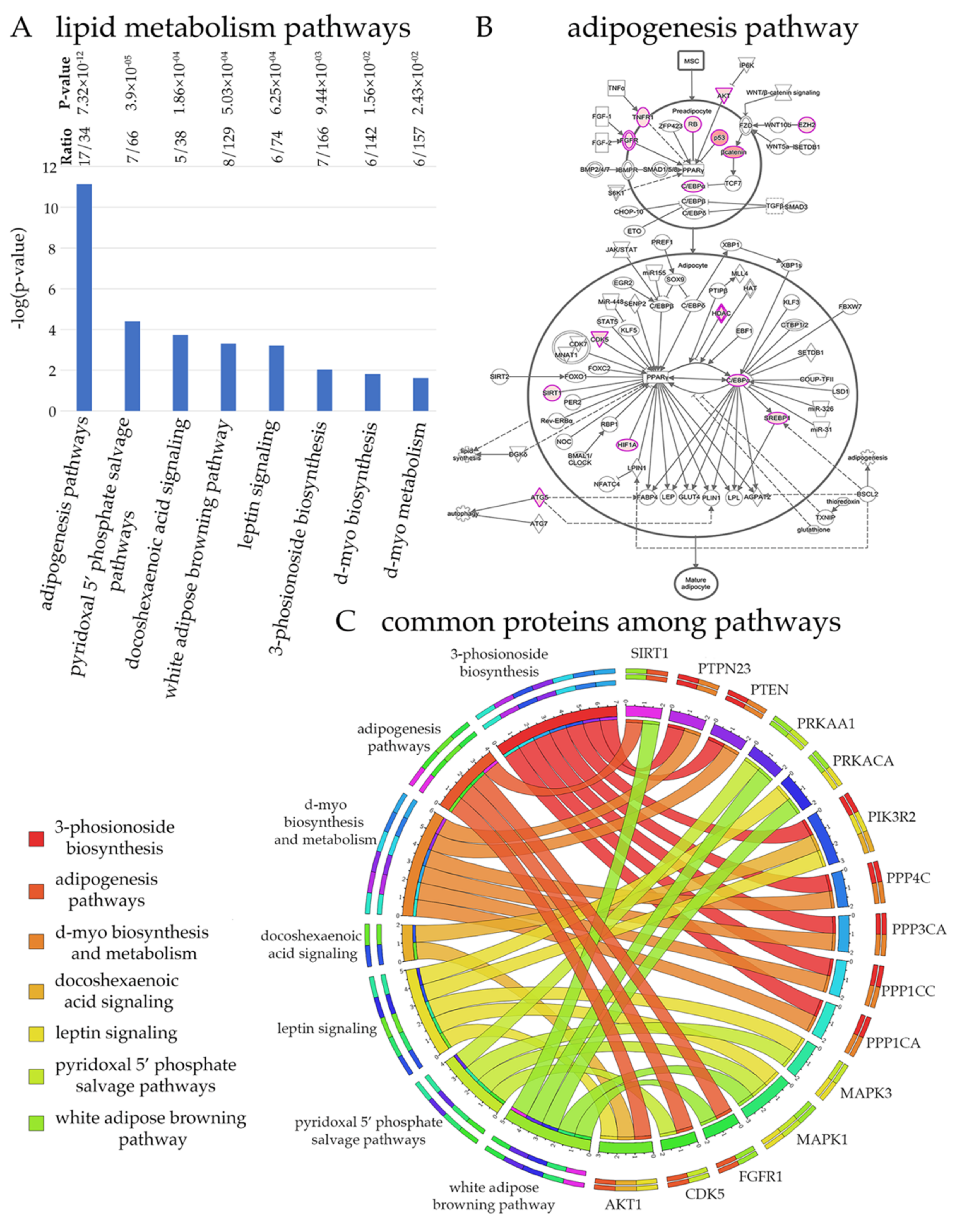 Brainsci 11 00578 g003 Brainsci 11 00578 g003