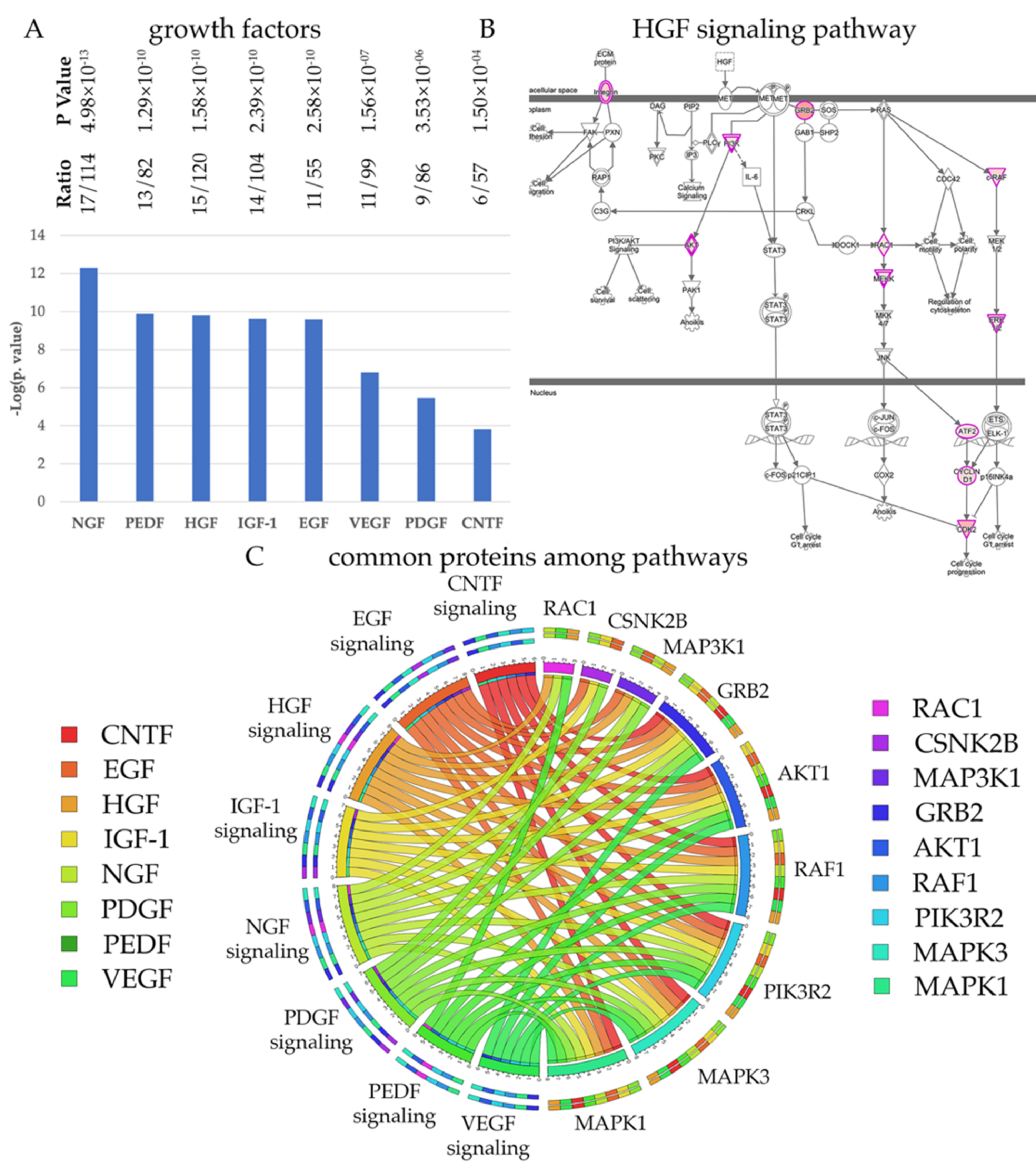 Brainsci 11 00578 g004 Brainsci 11 00578 g004