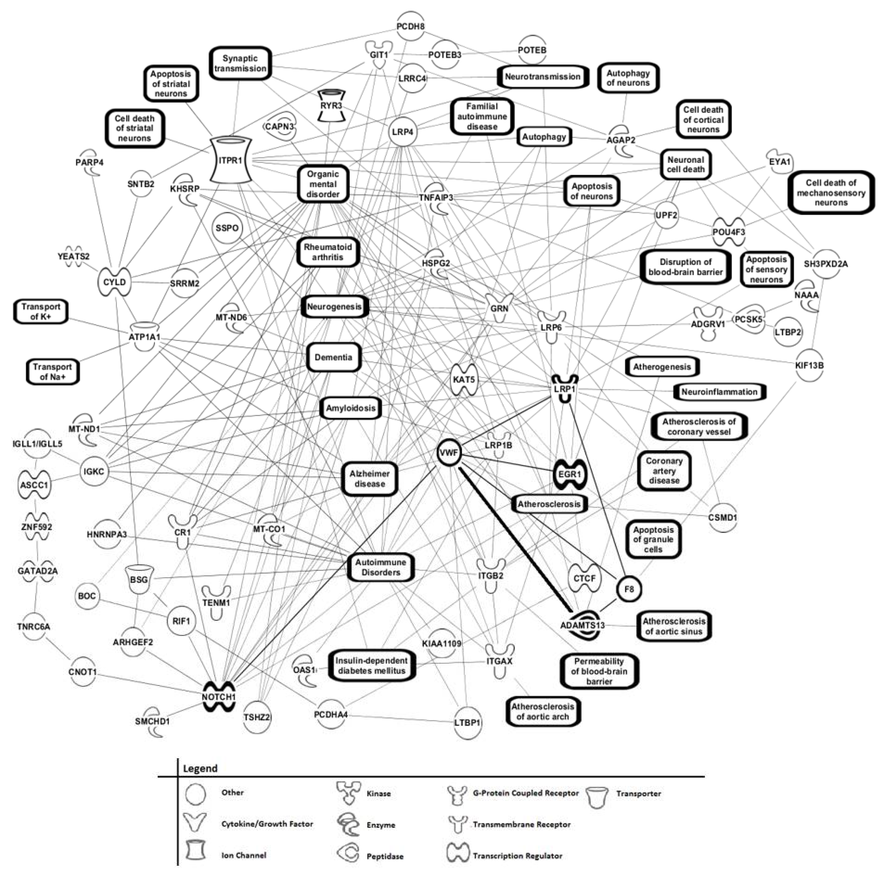 Brainsci 11 00583 g007 Brainsci 11 00583 g007