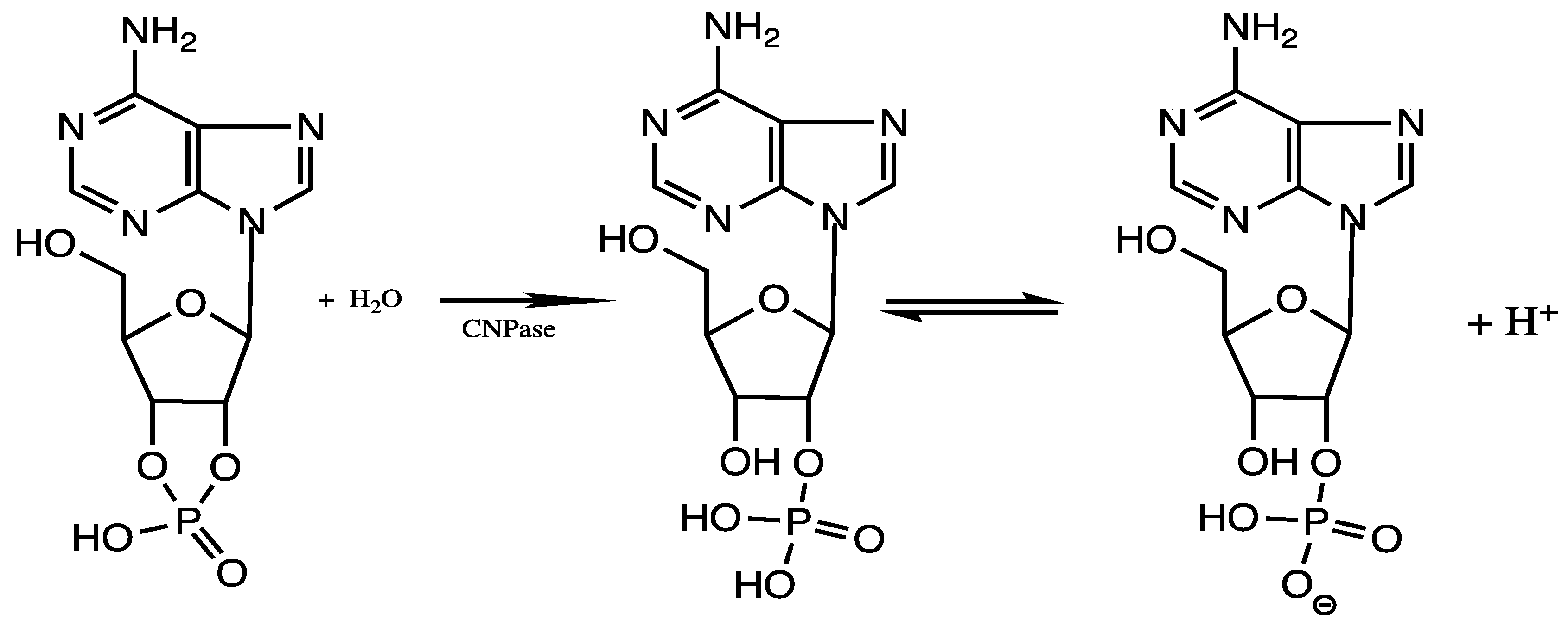 Brainsci 11 00588 g001 Brainsci 11 00588 g001