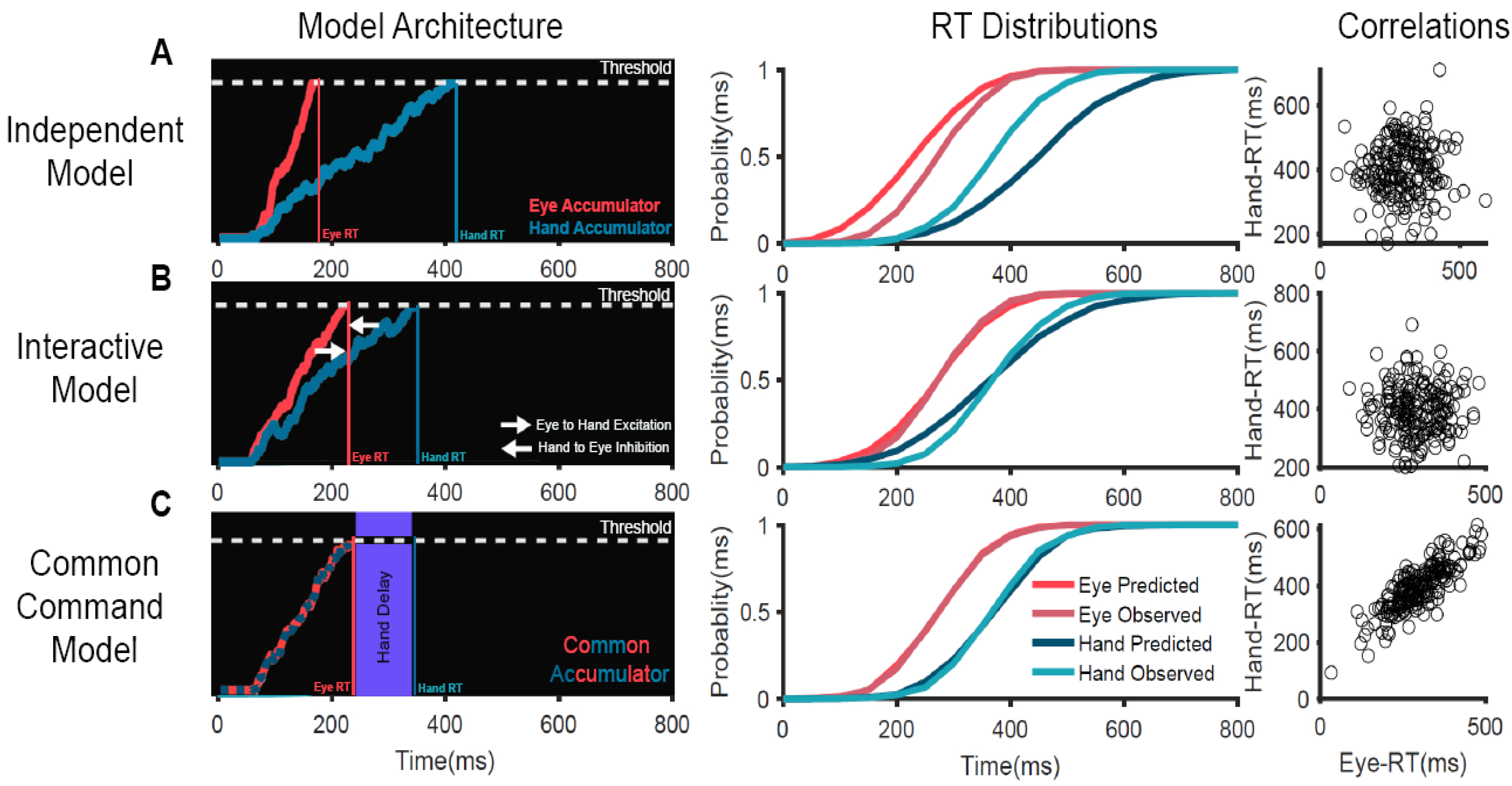 Brainsci 11 00607 g001 Brainsci 11 00607 g001