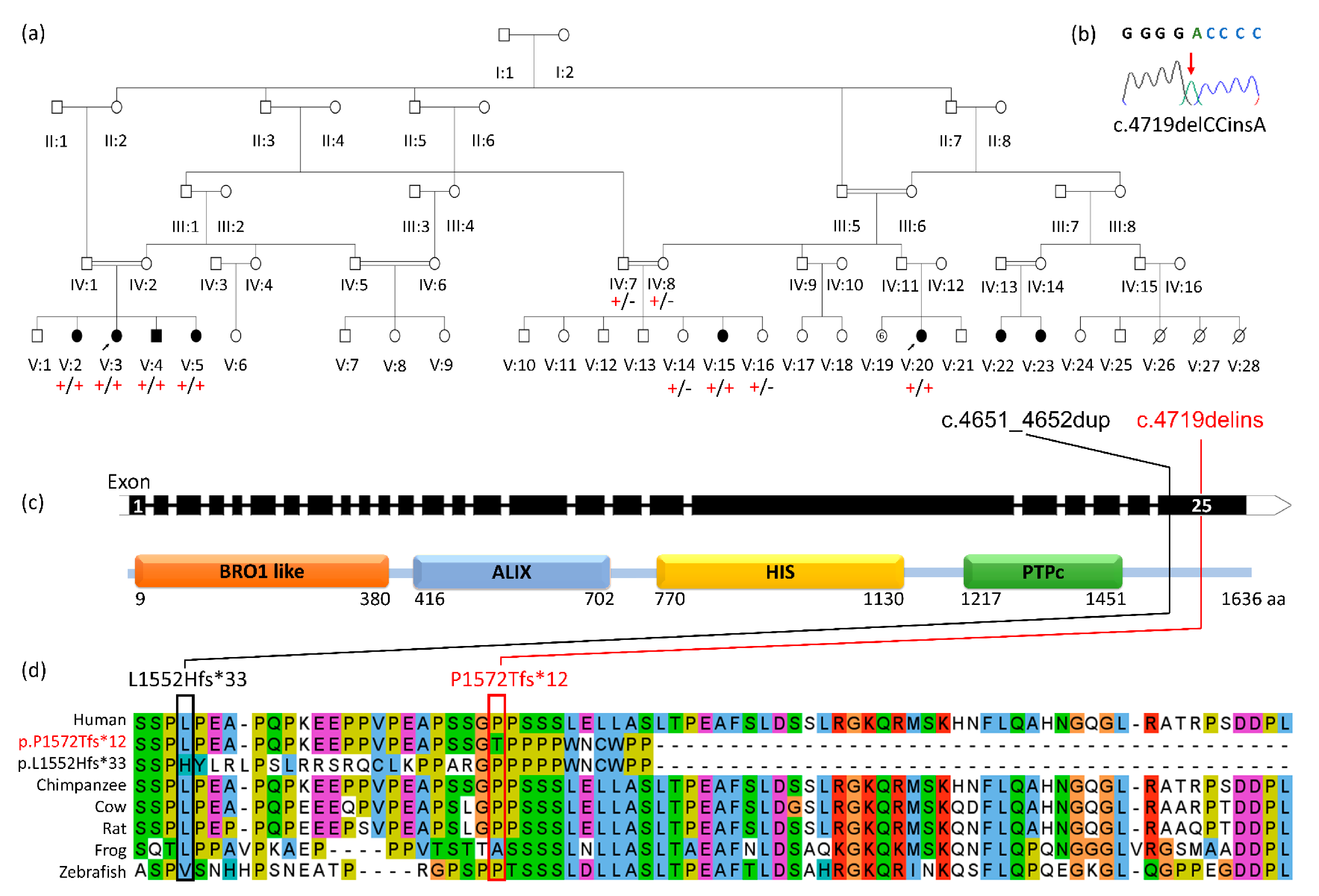 Brainsci 11 00614 g001 Brainsci 11 00614 g001