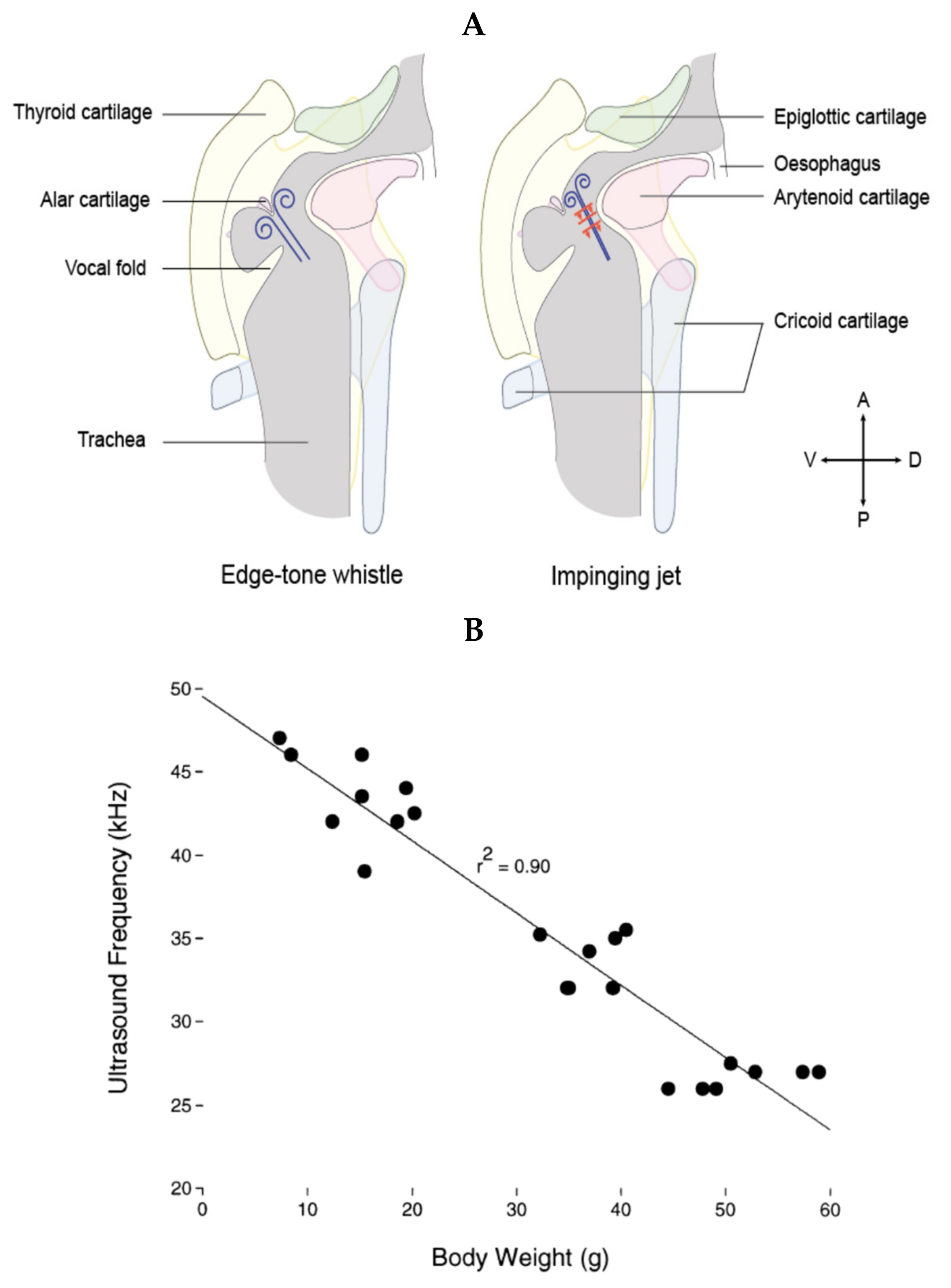 Brainsci 11 00616 g002 Brainsci 11 00616 g002