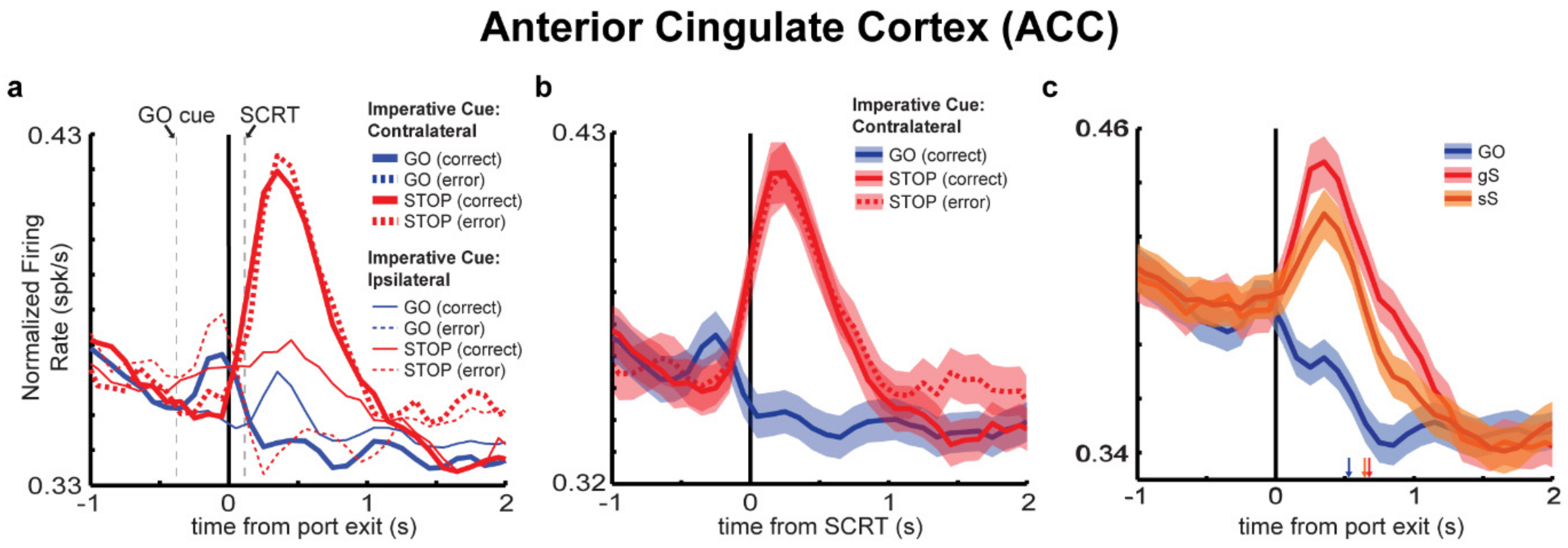 Brainsci 11 00617 g003 Brainsci 11 00617 g003