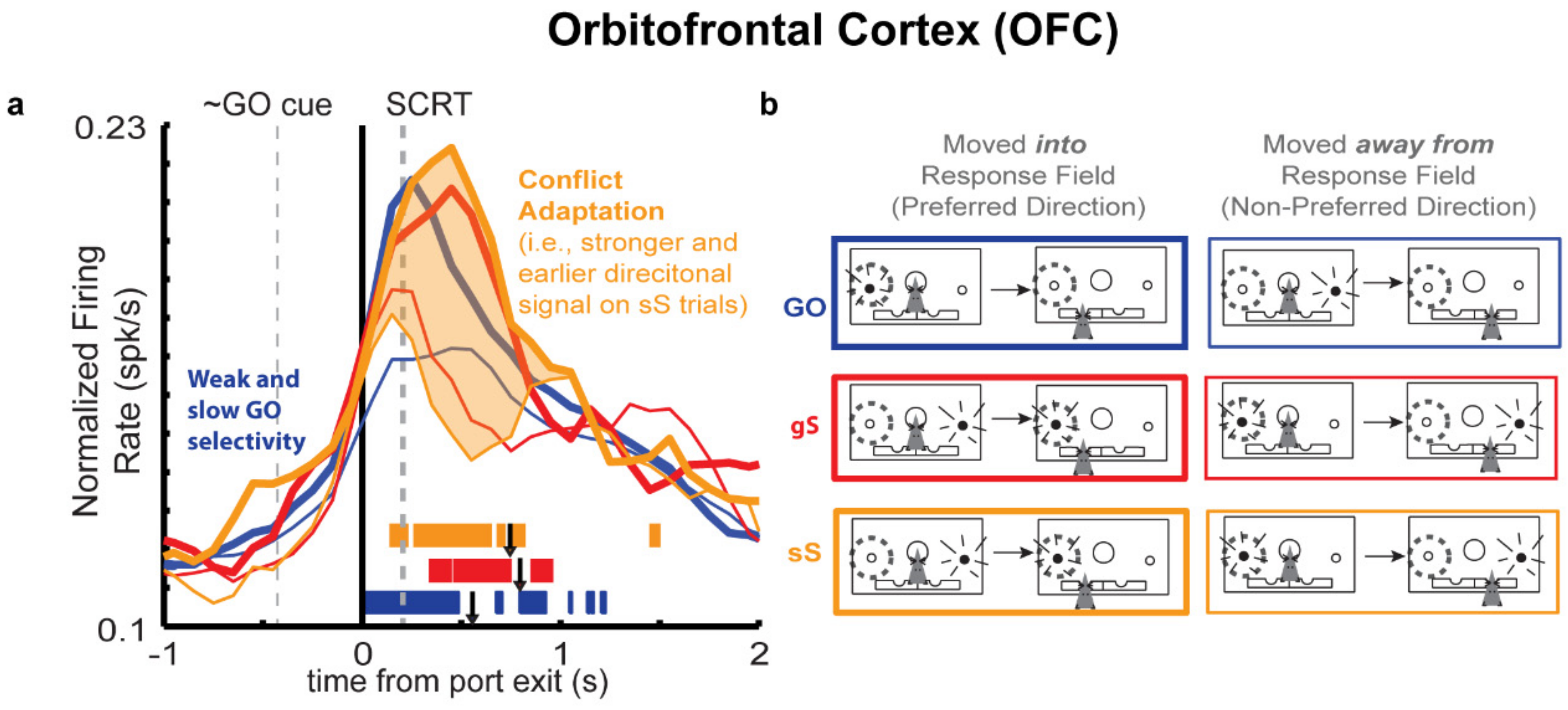 Brainsci 11 00617 g005 Brainsci 11 00617 g005