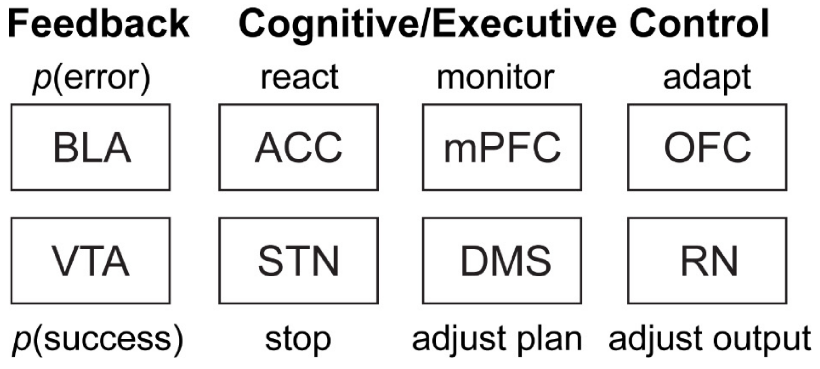 Brainsci 11 00617 g007 Brainsci 11 00617 g007