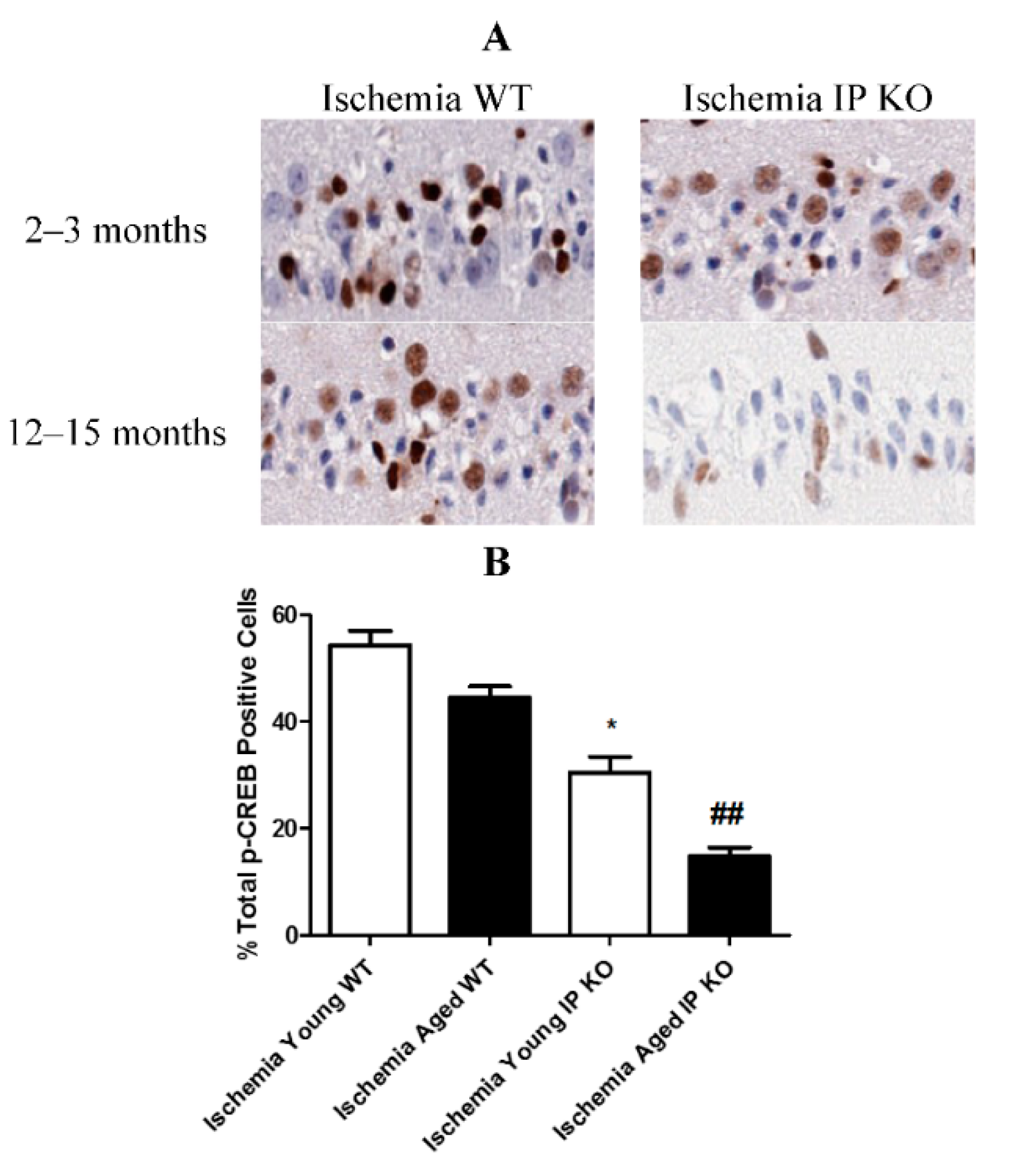 Brainsci 11 00624 g001 Brainsci 11 00624 g001