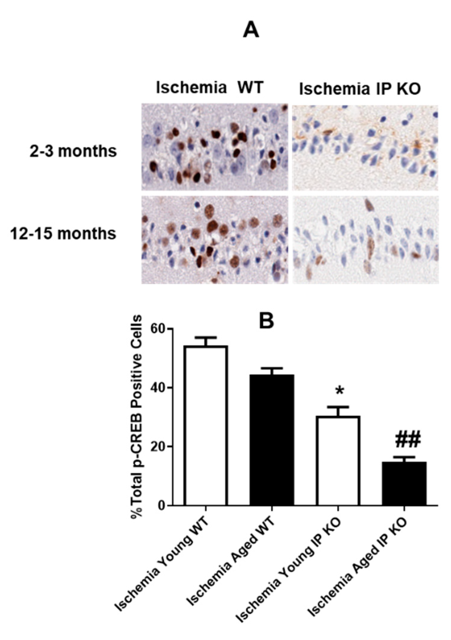 Brainsci 11 00624 g002 Brainsci 11 00624 g002