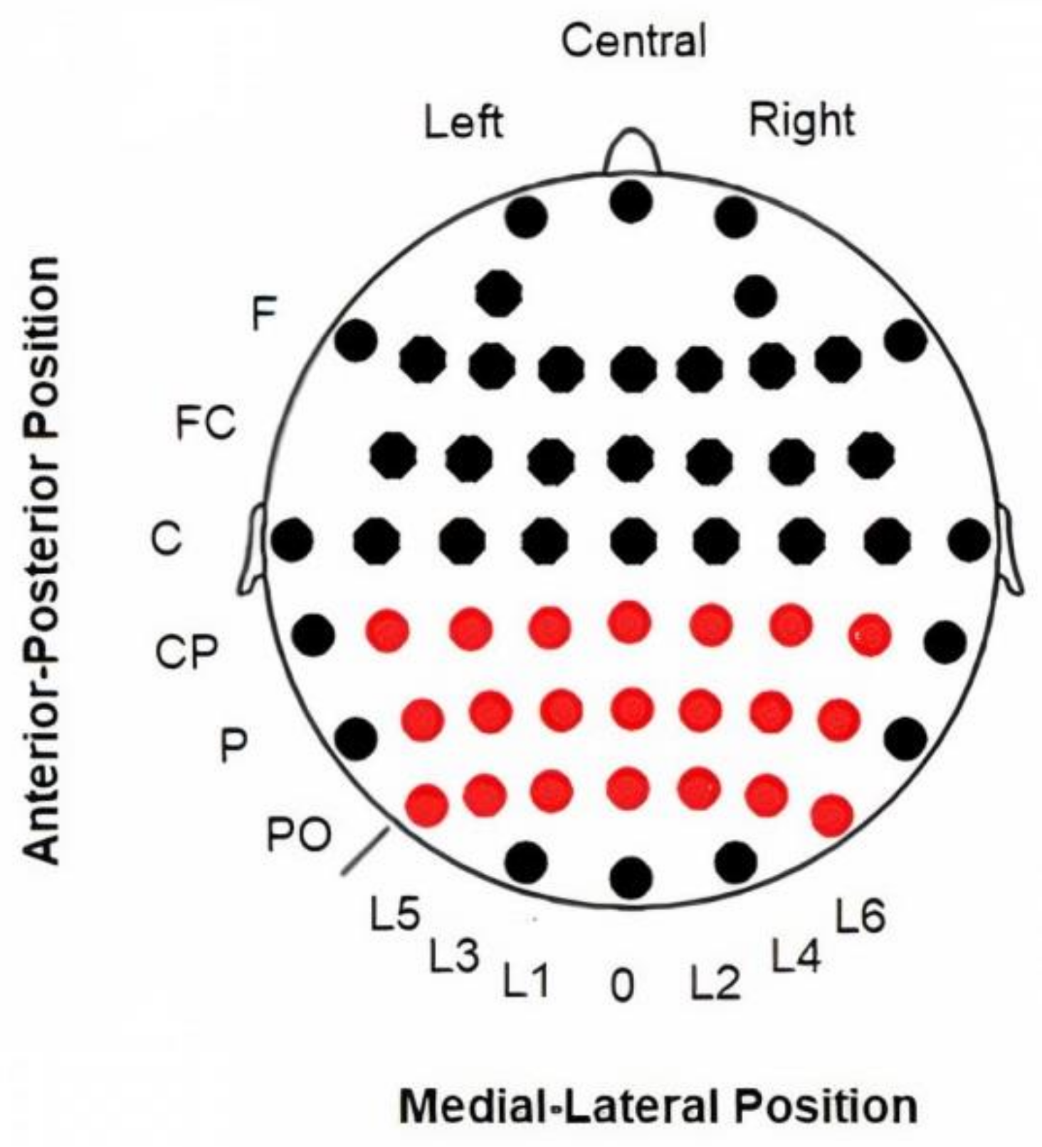Brainsci 11 00629 g001 Brainsci 11 00629 g001