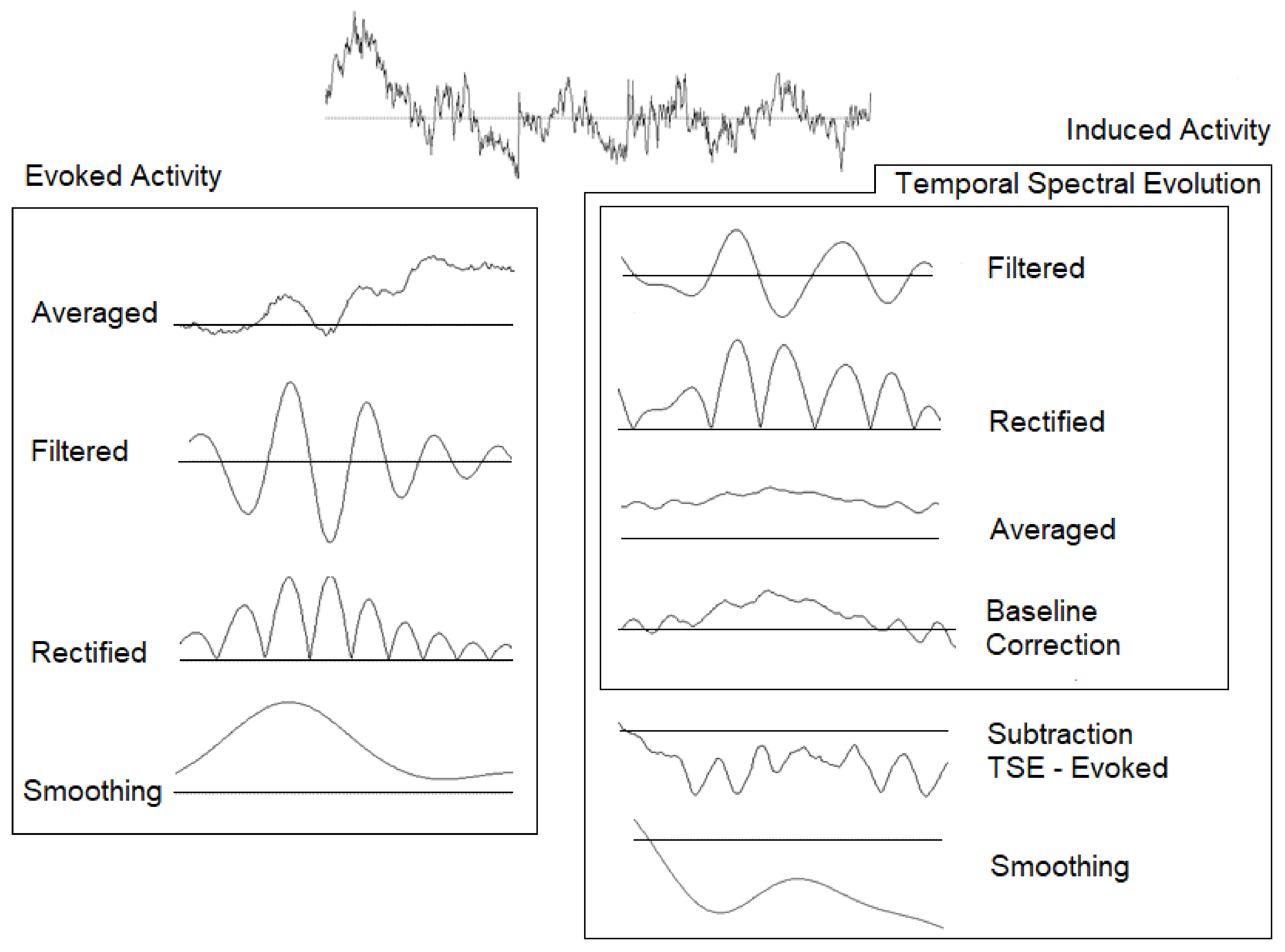 Brainsci 11 00629 g002 Brainsci 11 00629 g002