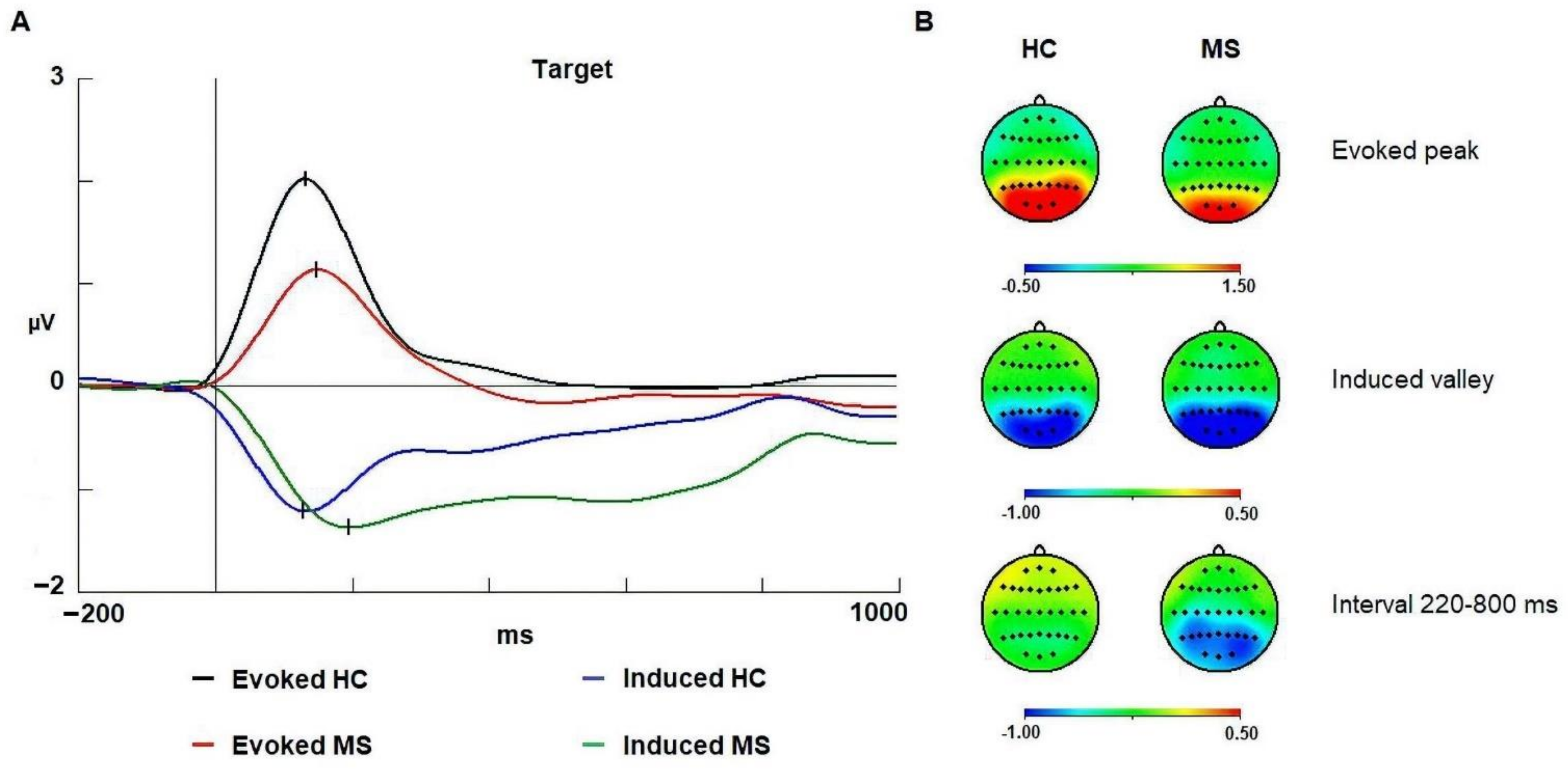 Brainsci 11 00629 g003 Brainsci 11 00629 g003