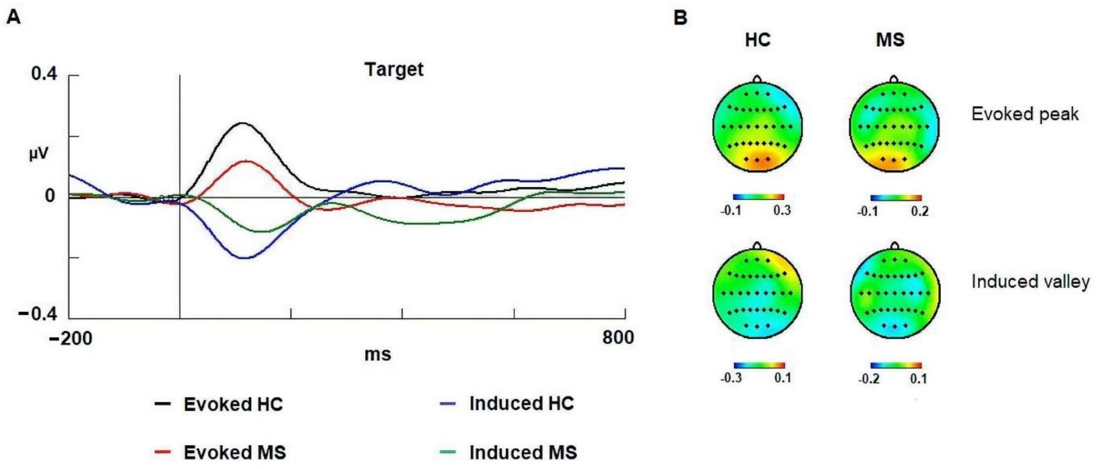 Brainsci 11 00629 g004 Brainsci 11 00629 g004