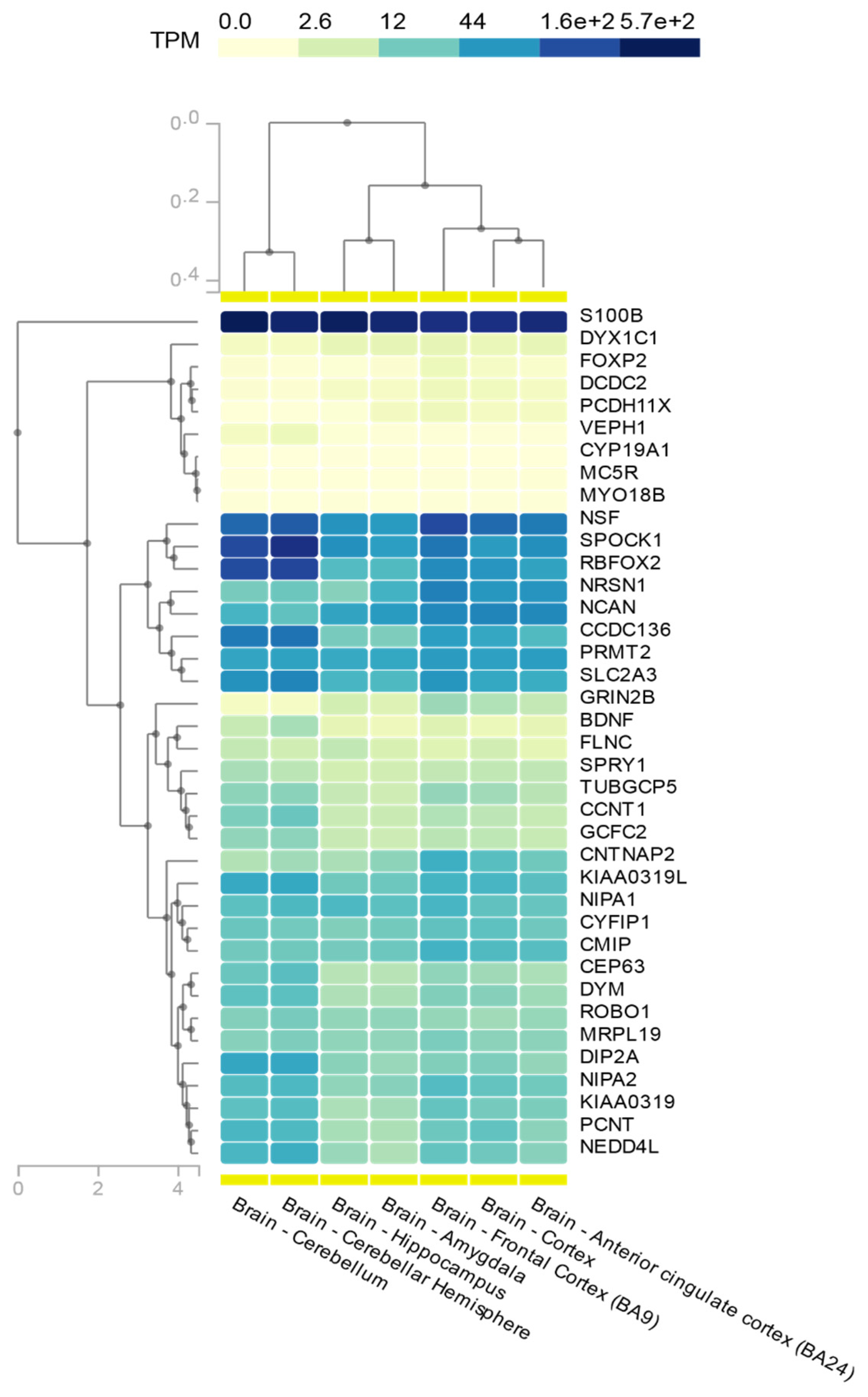 Frontiers  Ethical layering in AI-driven polygenic risk scores—New  complexities, new challenges