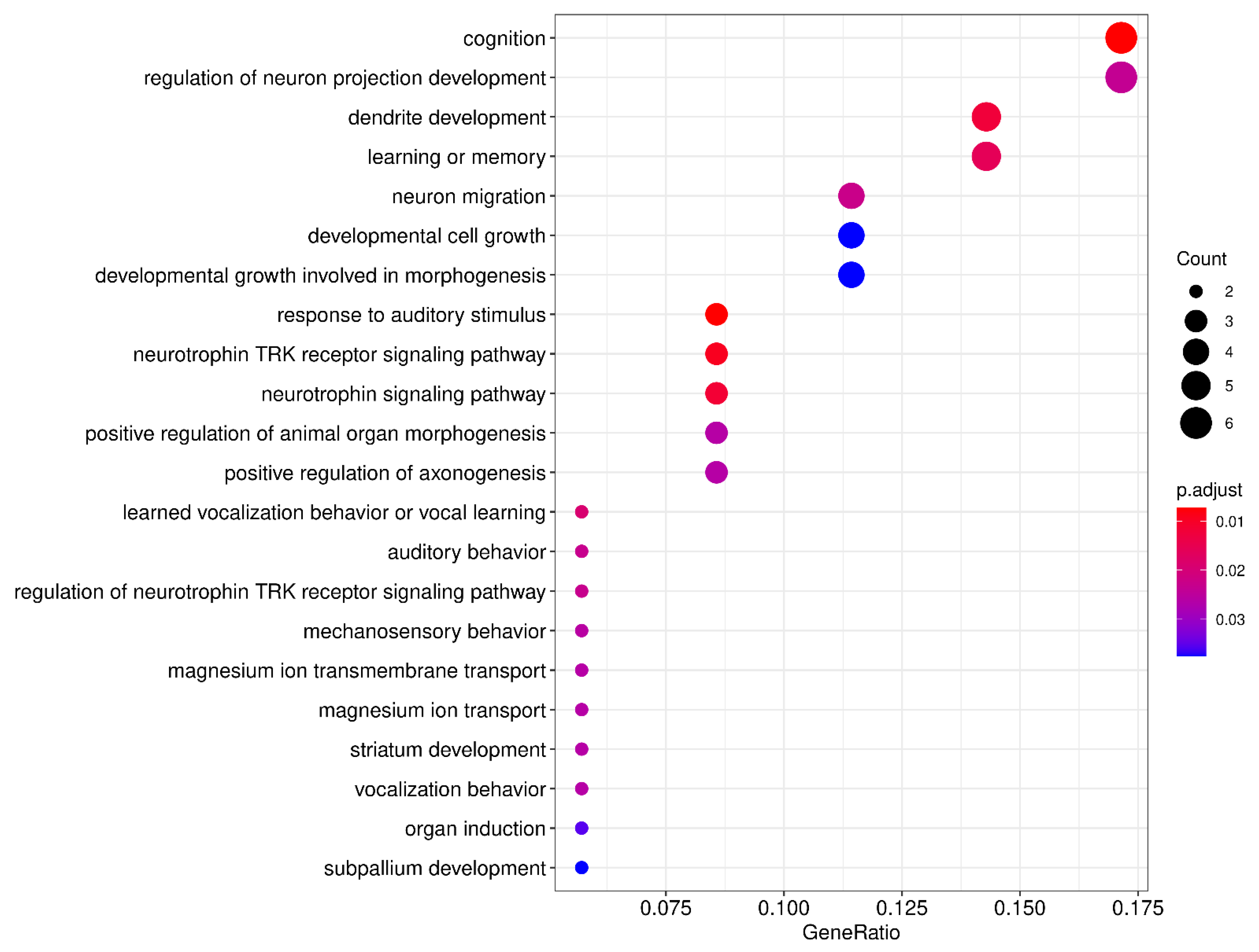 Brainsci 11 00631 g002