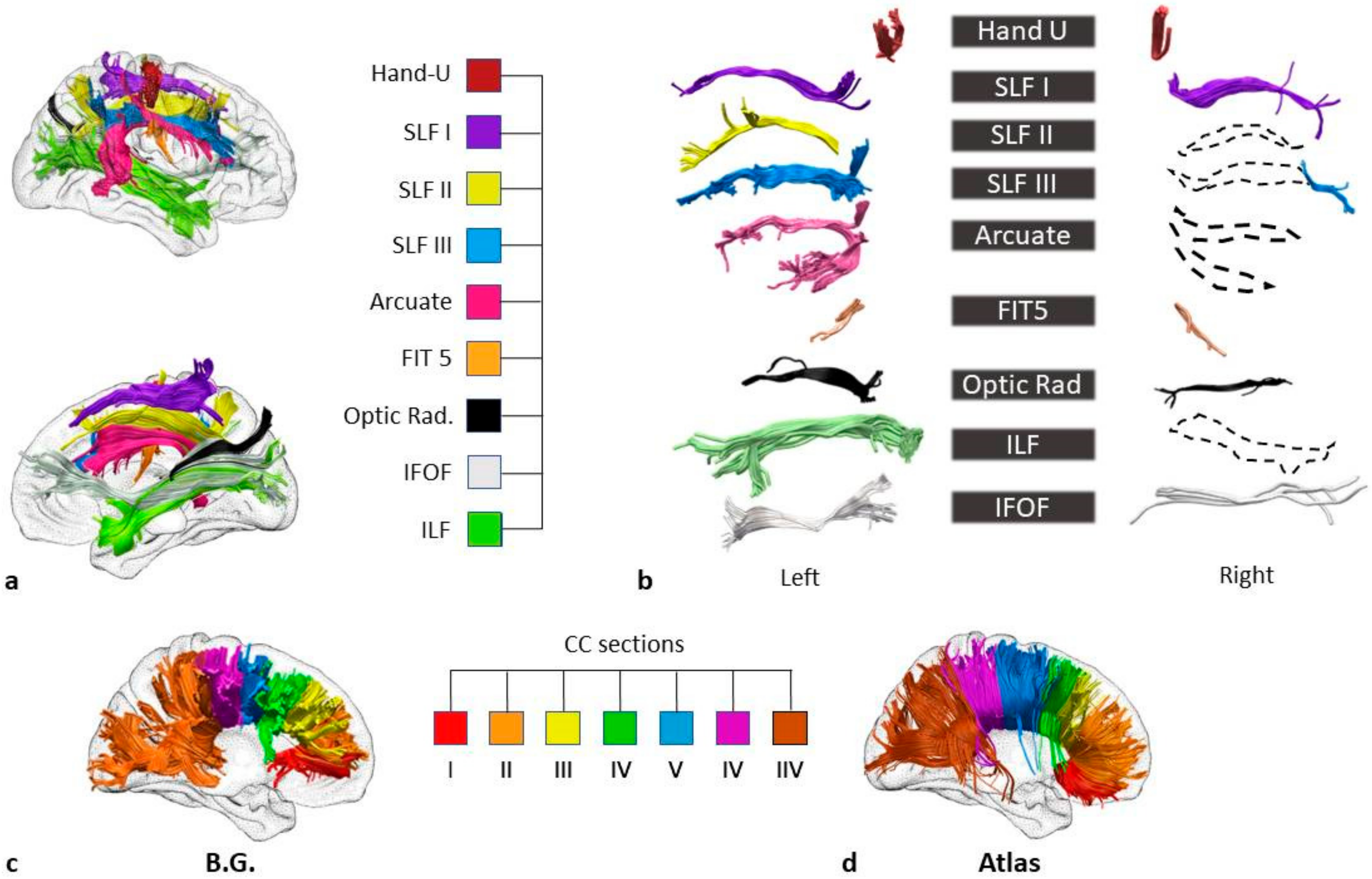 Brainsci 11 00632 g002