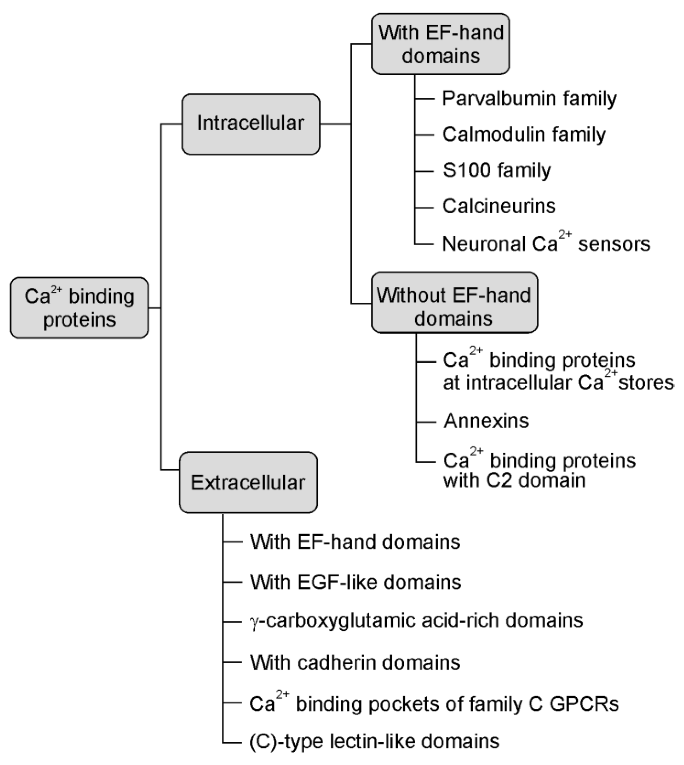 Brainsci 11 00634 g001 Brainsci 11 00634 g001