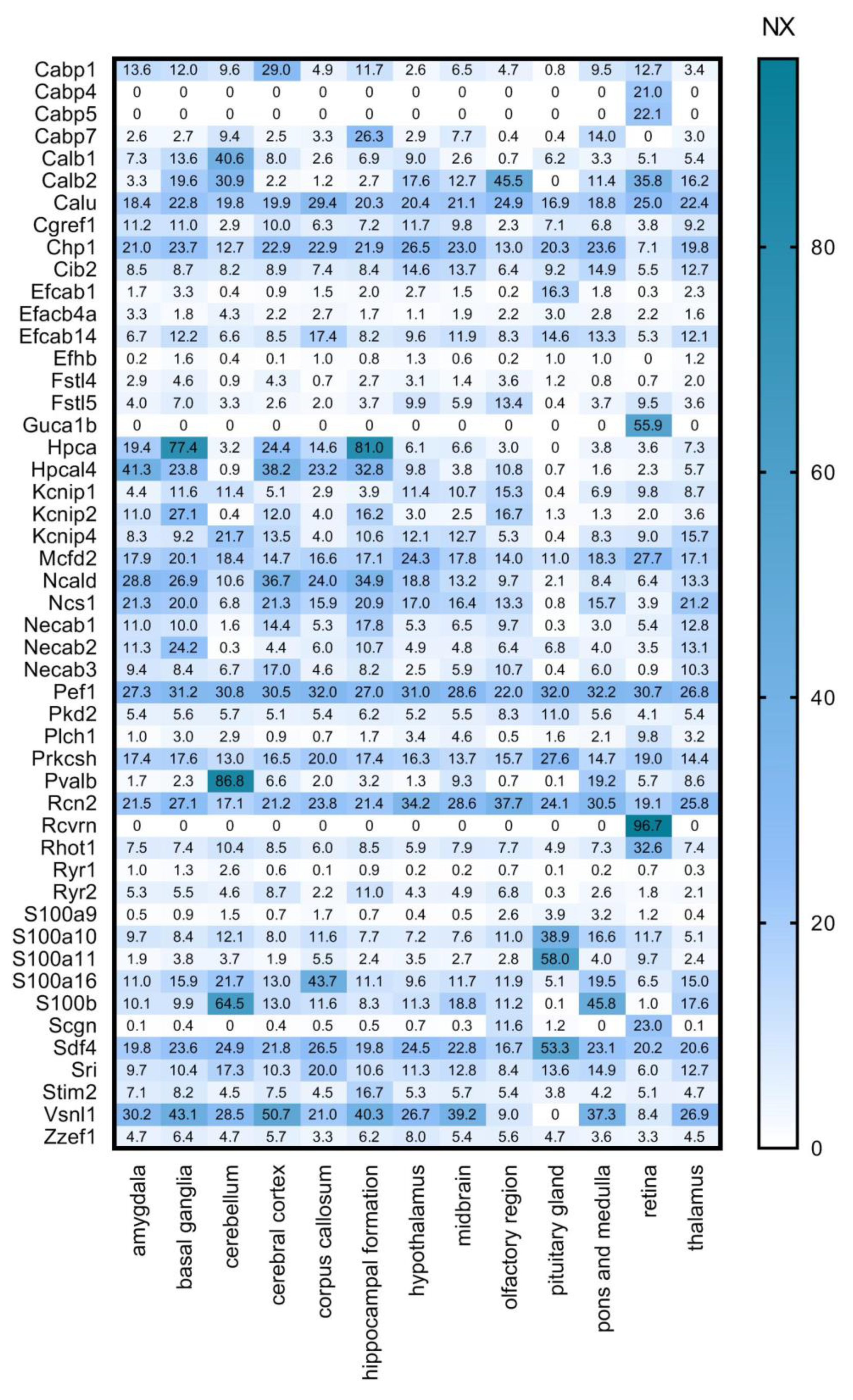 Brainsci 11 00634 g003 Brainsci 11 00634 g003