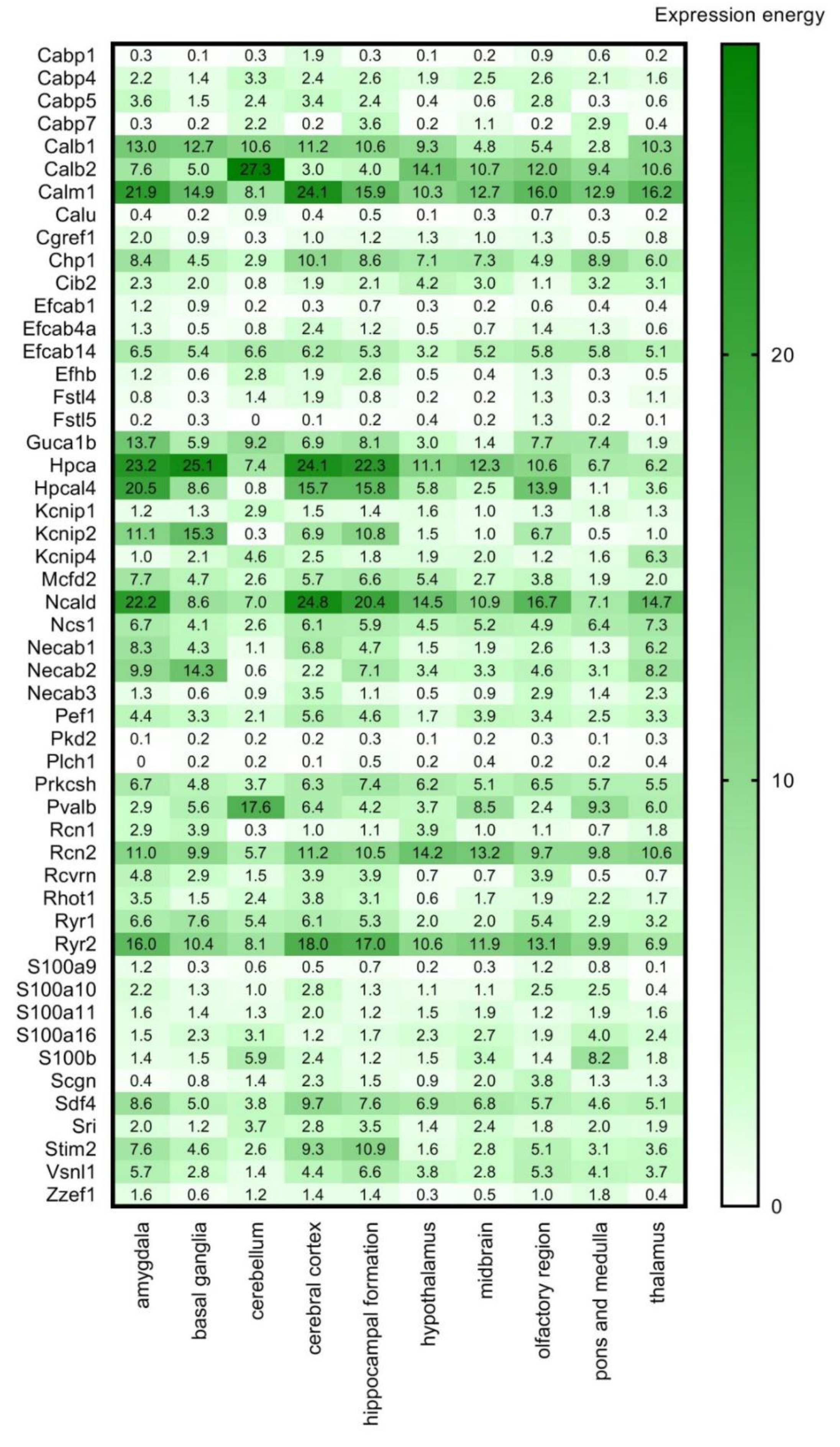 Brainsci 11 00634 g004 Brainsci 11 00634 g004