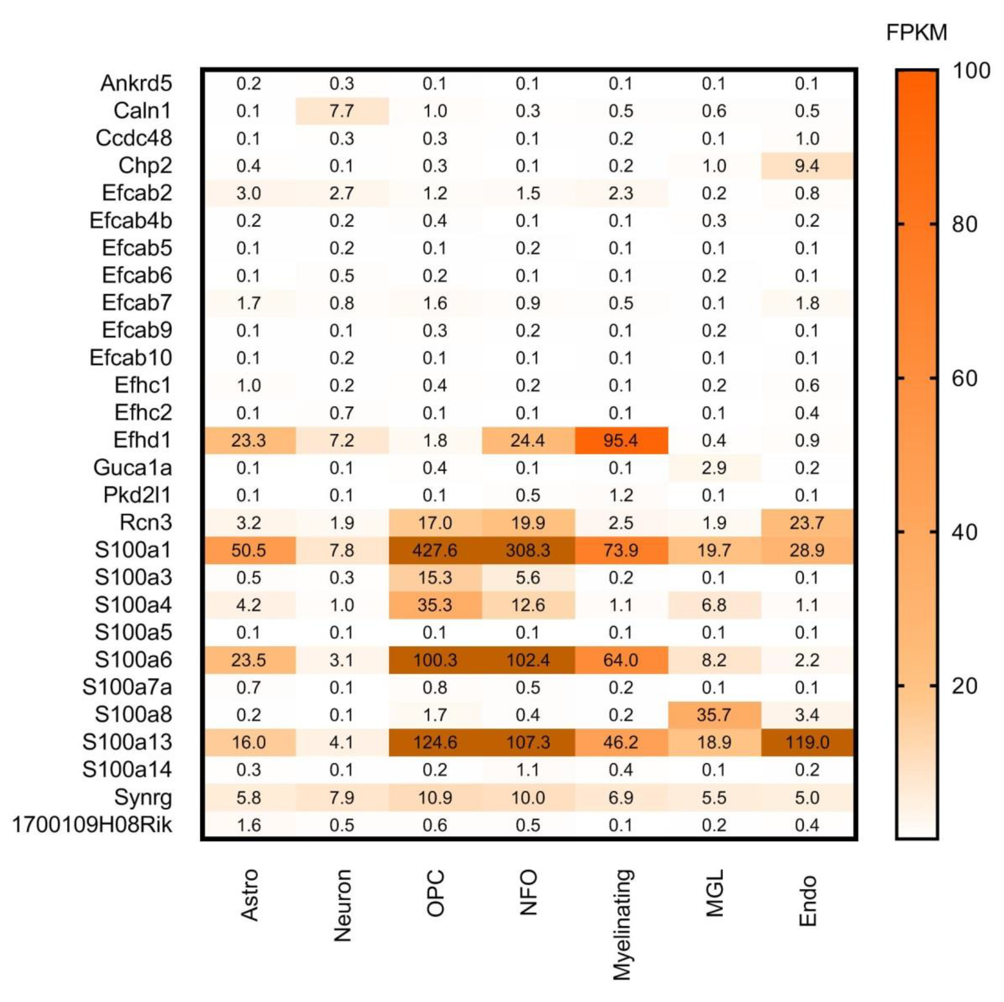 Brainsci 11 00634 g008 Brainsci 11 00634 g008