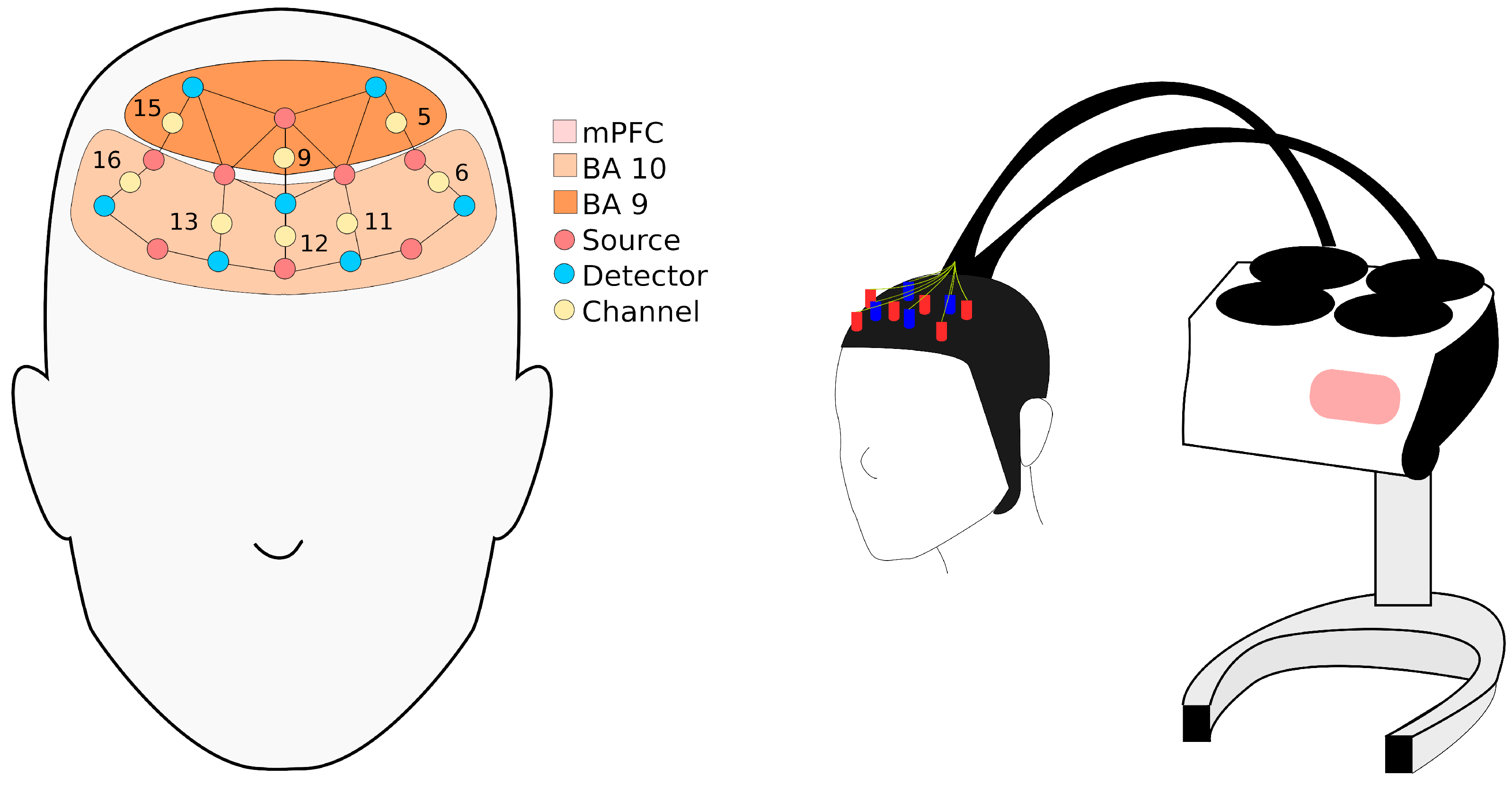 Brainsci 11 00635 g002