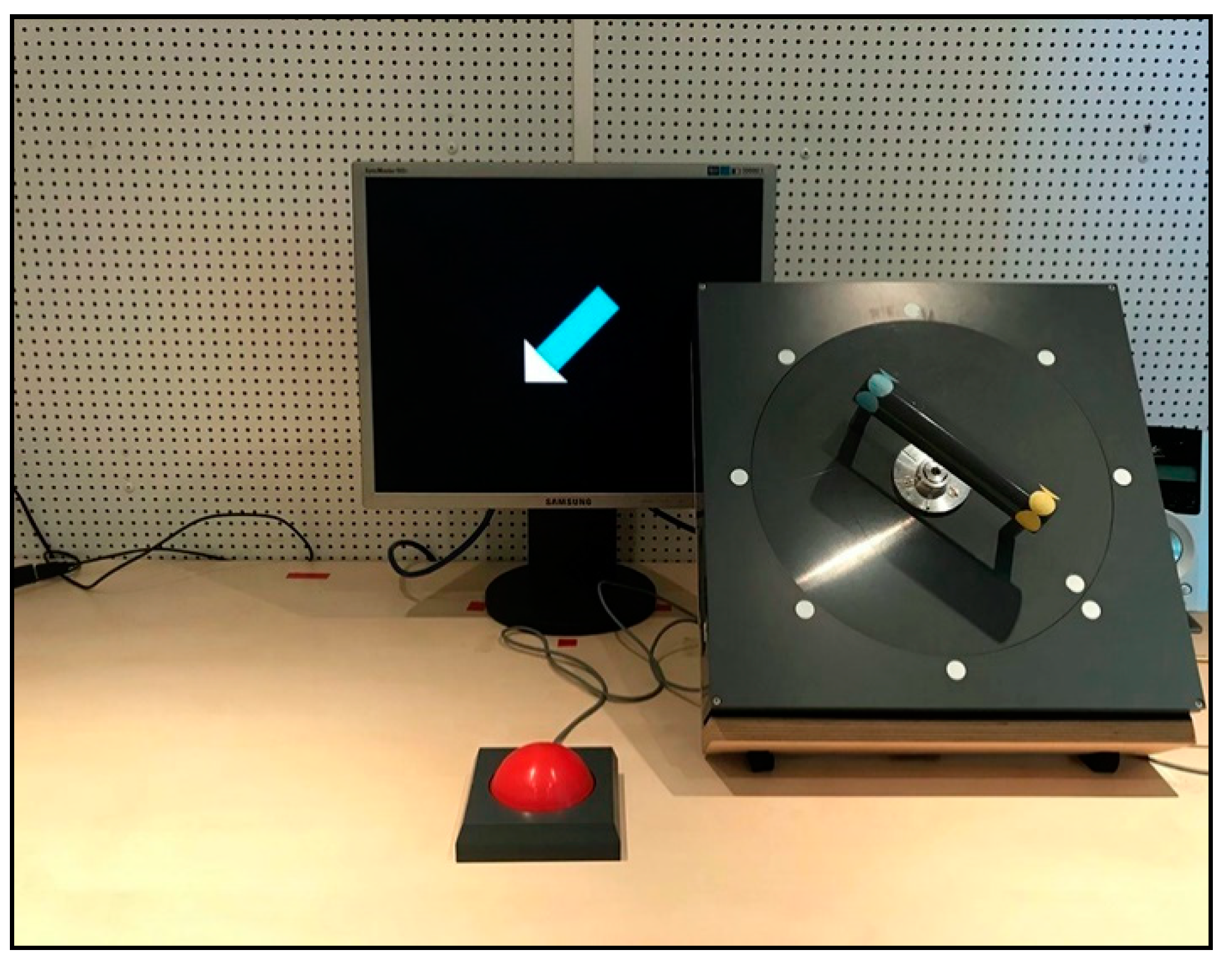 Brainsci 11 00641 g001 Brainsci 11 00641 g001