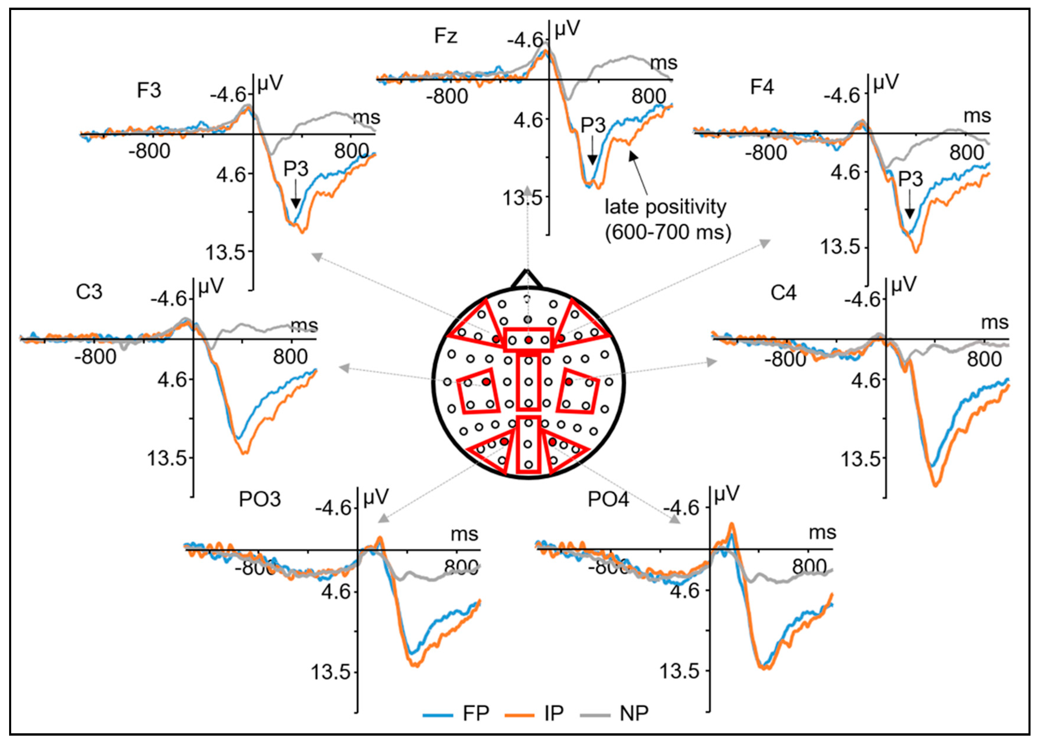 Brainsci 11 00641 g004 Brainsci 11 00641 g004