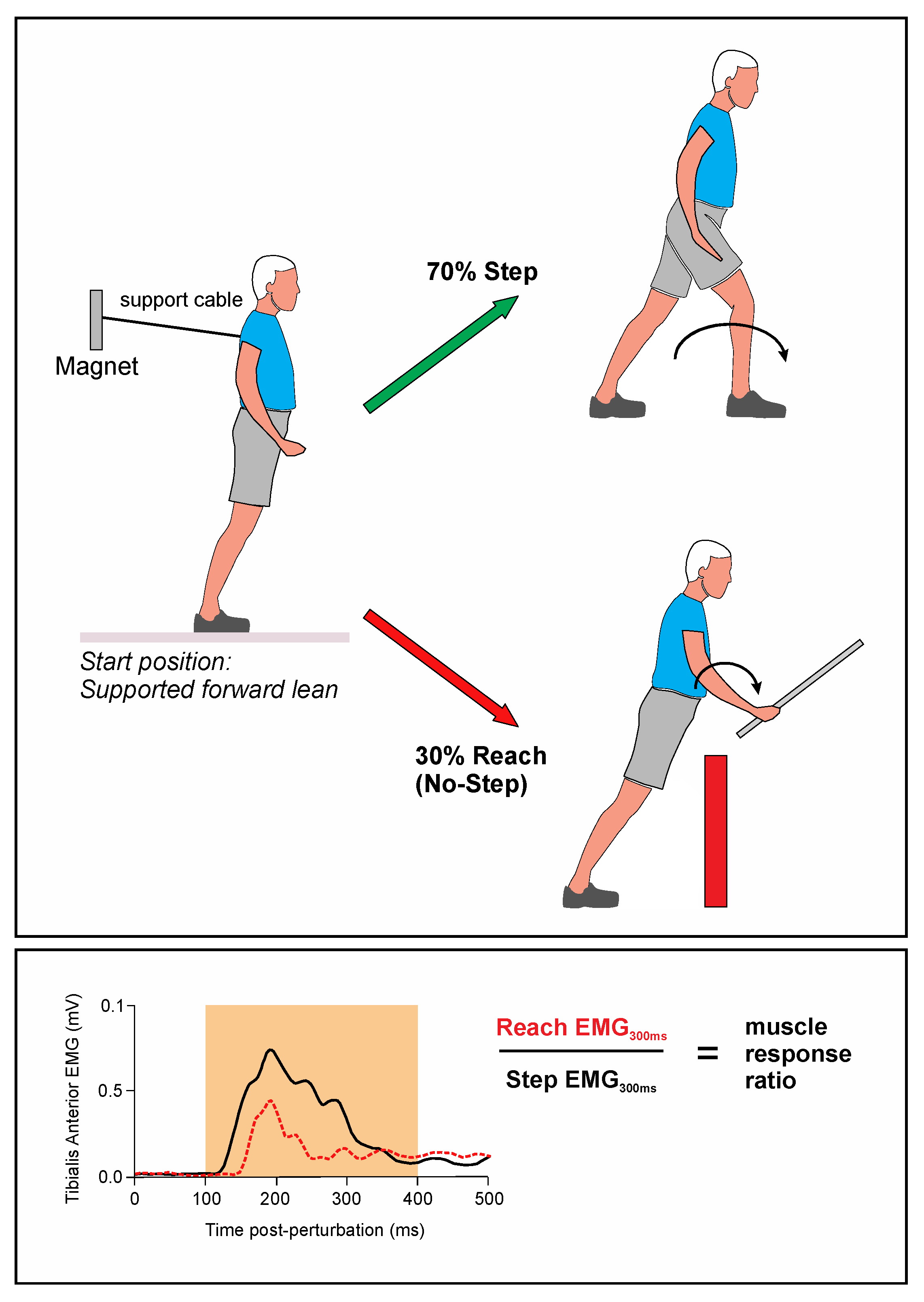Brainsci 11 00643 g001