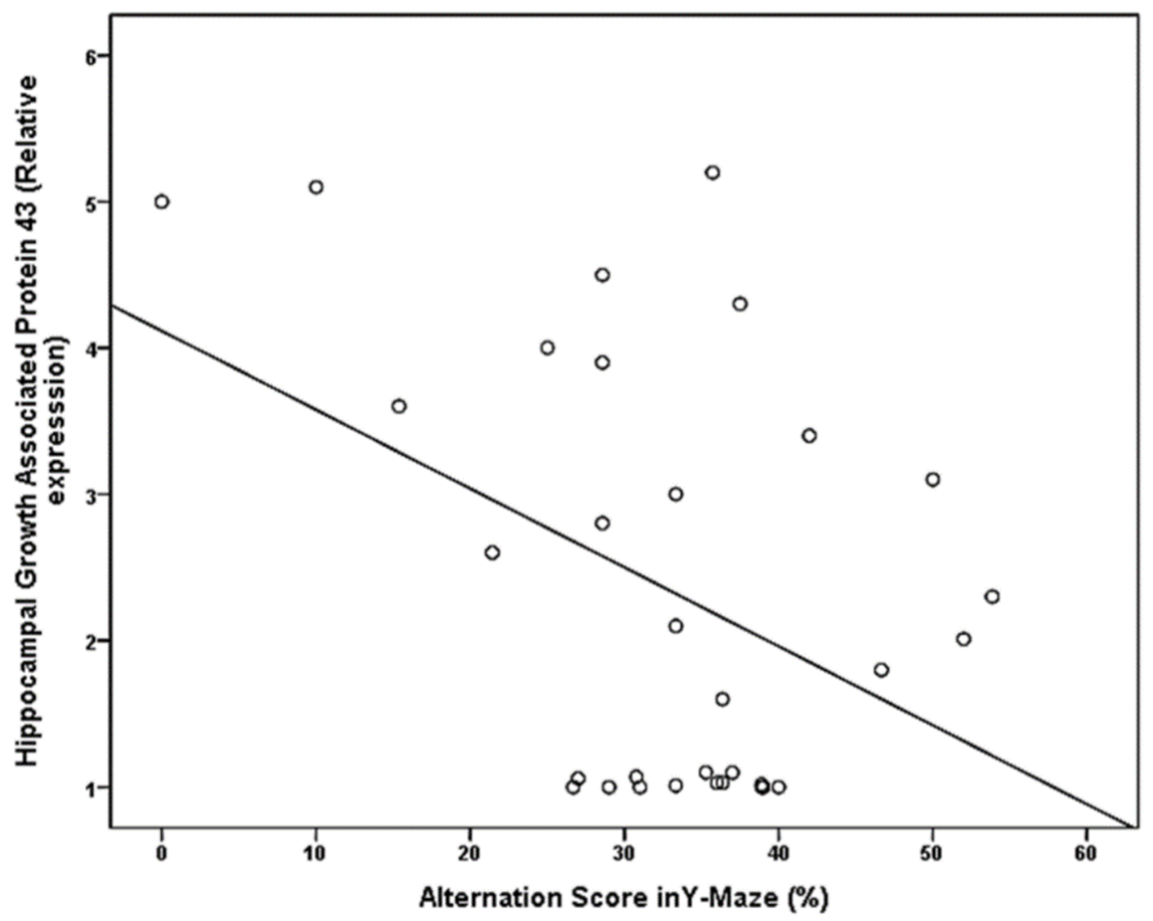 Brainsci 11 00644 g002 Brainsci 11 00644 g002