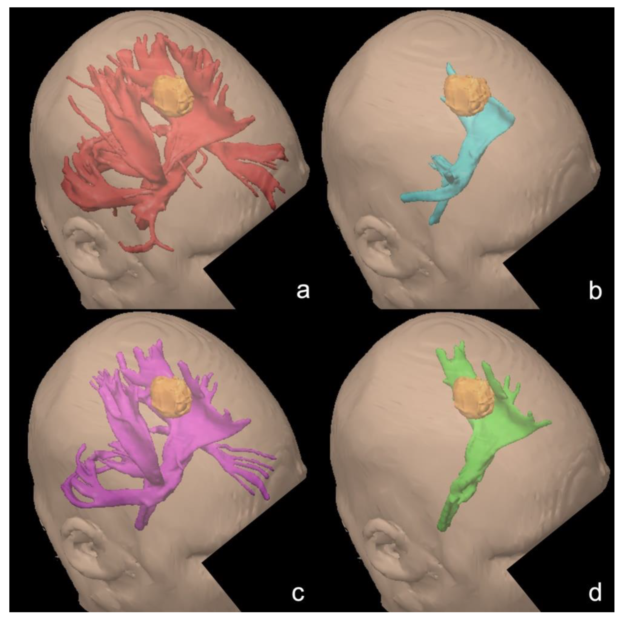 Brainsci 11 00650 g004
