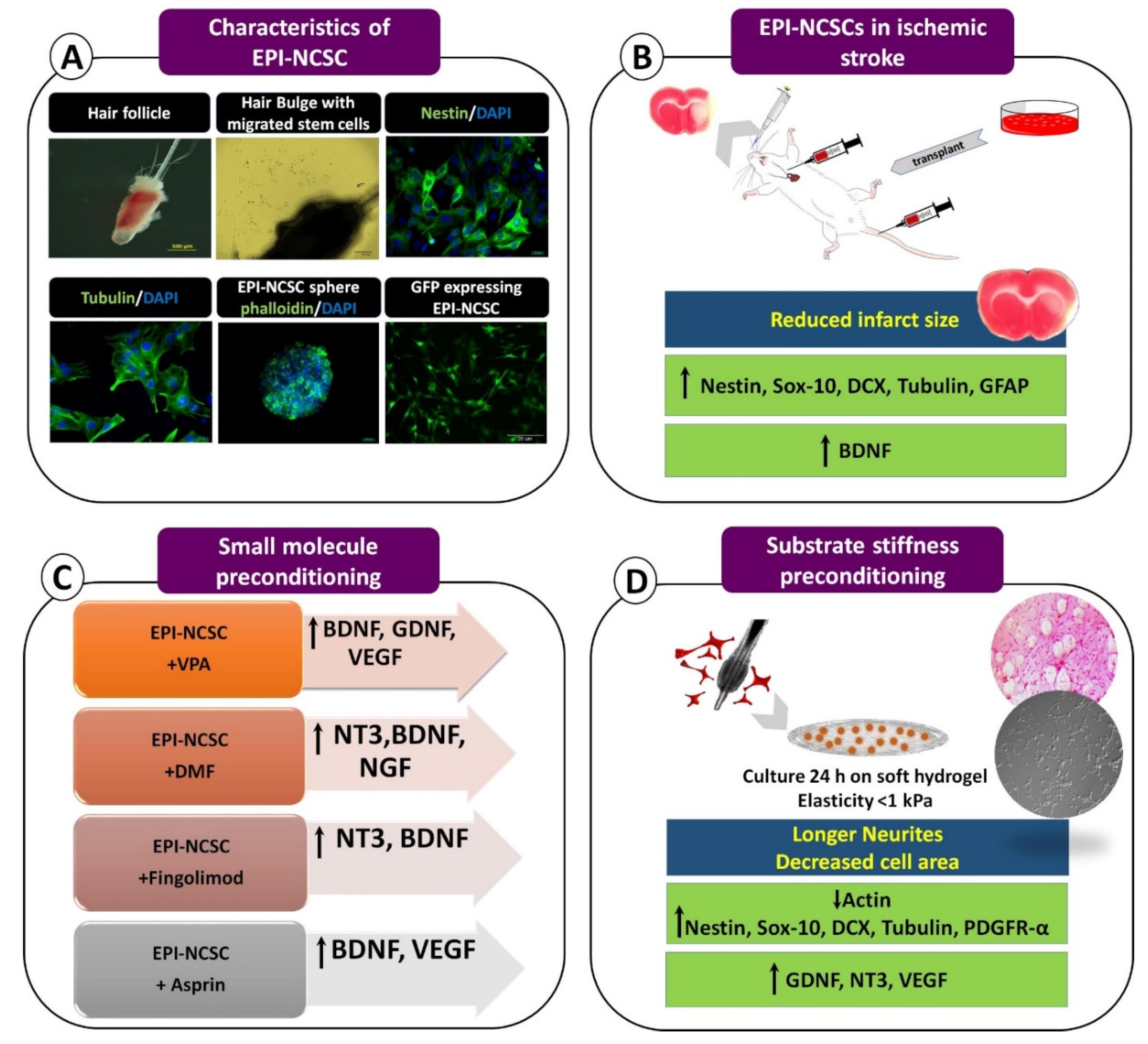 Brainsci 11 00653 g001 Brainsci 11 00653 g001