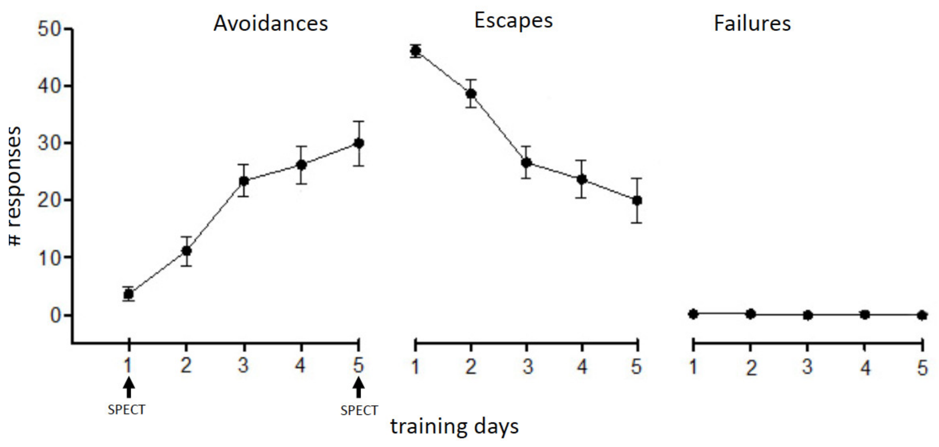 Brainsci 11 00659 g002 Brainsci 11 00659 g002