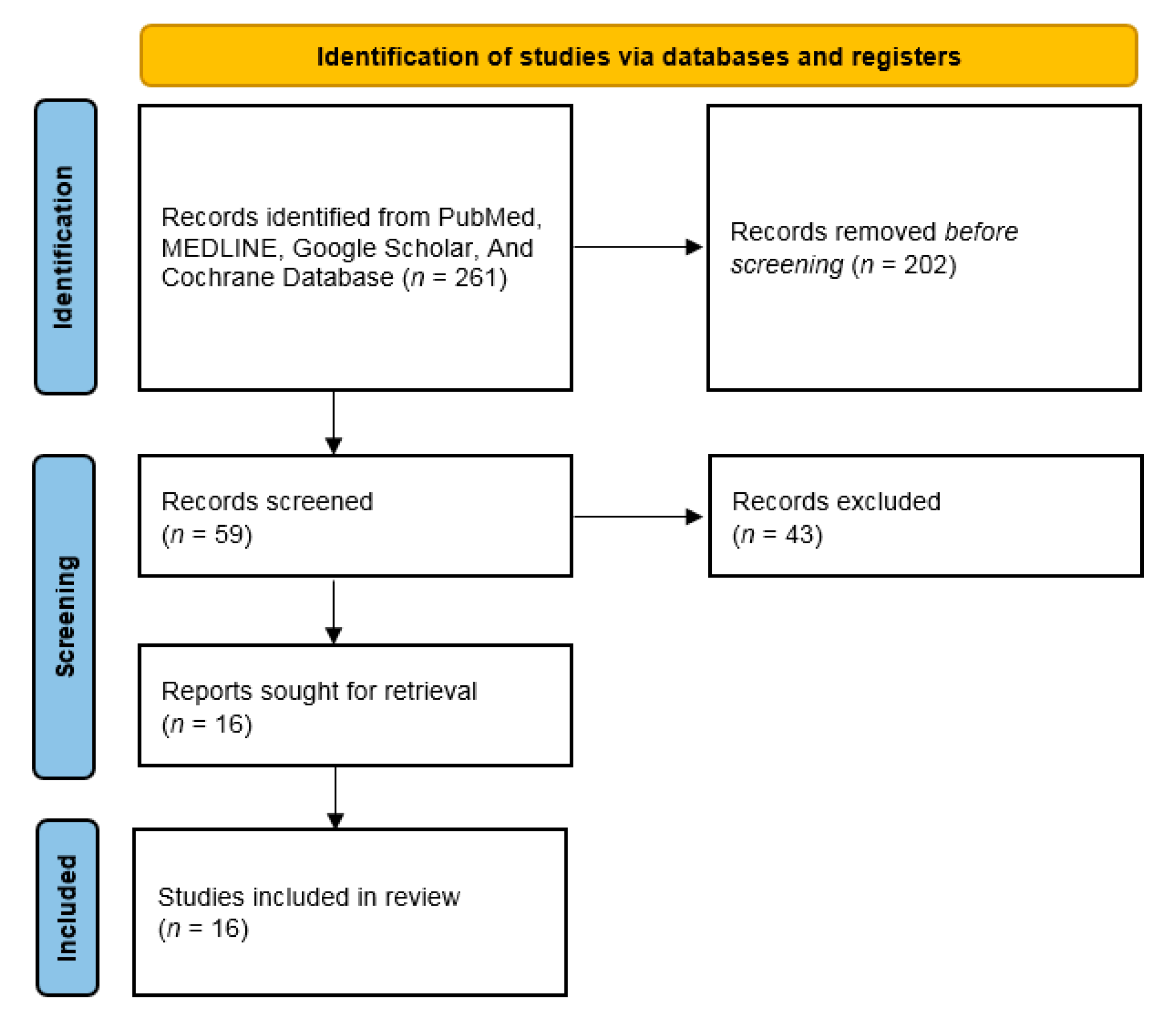Brainsci 11 00665 g002