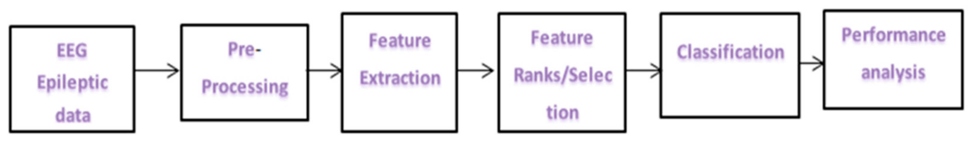 Brainsci 11 00668 g001