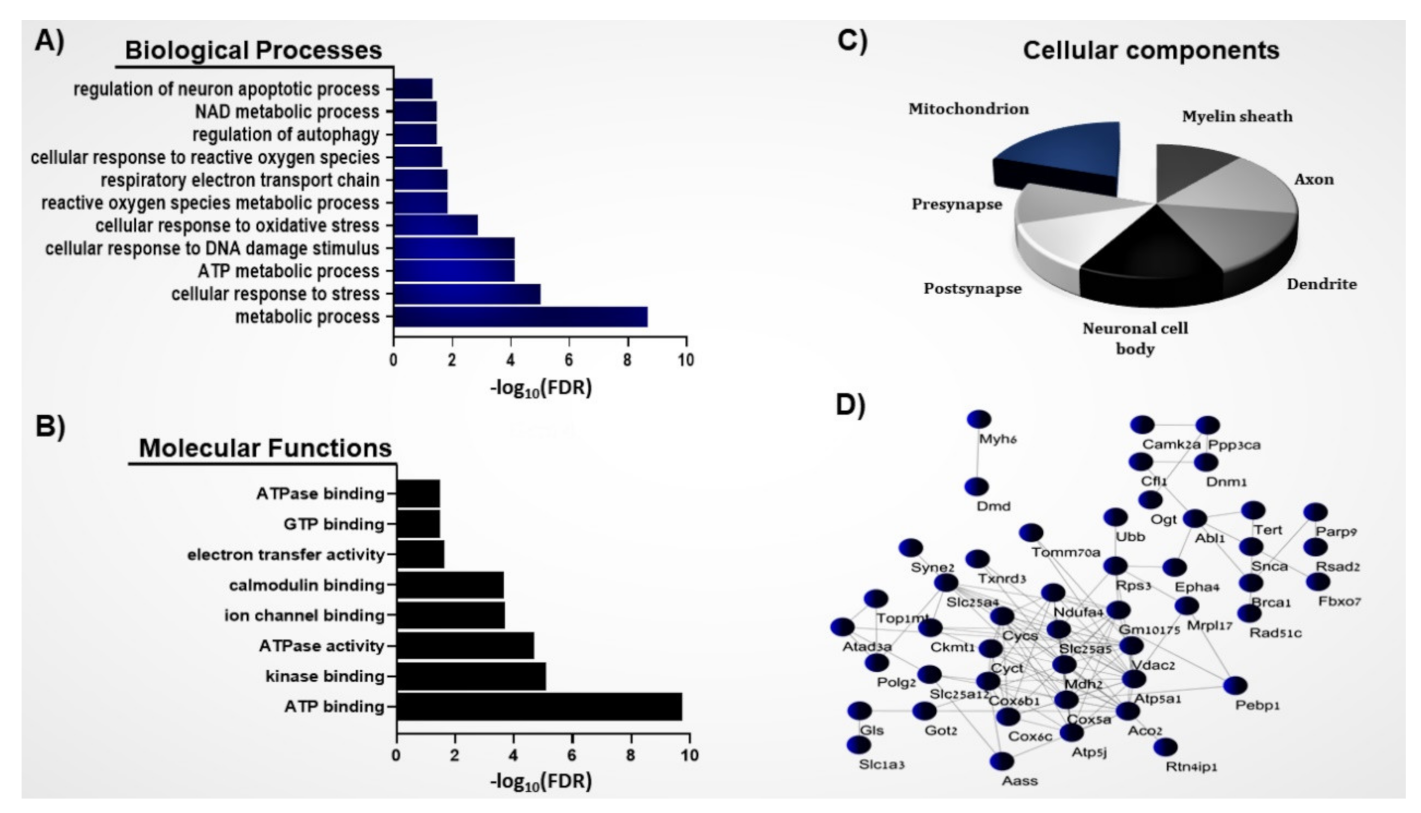 Brainsci 11 00677 g001