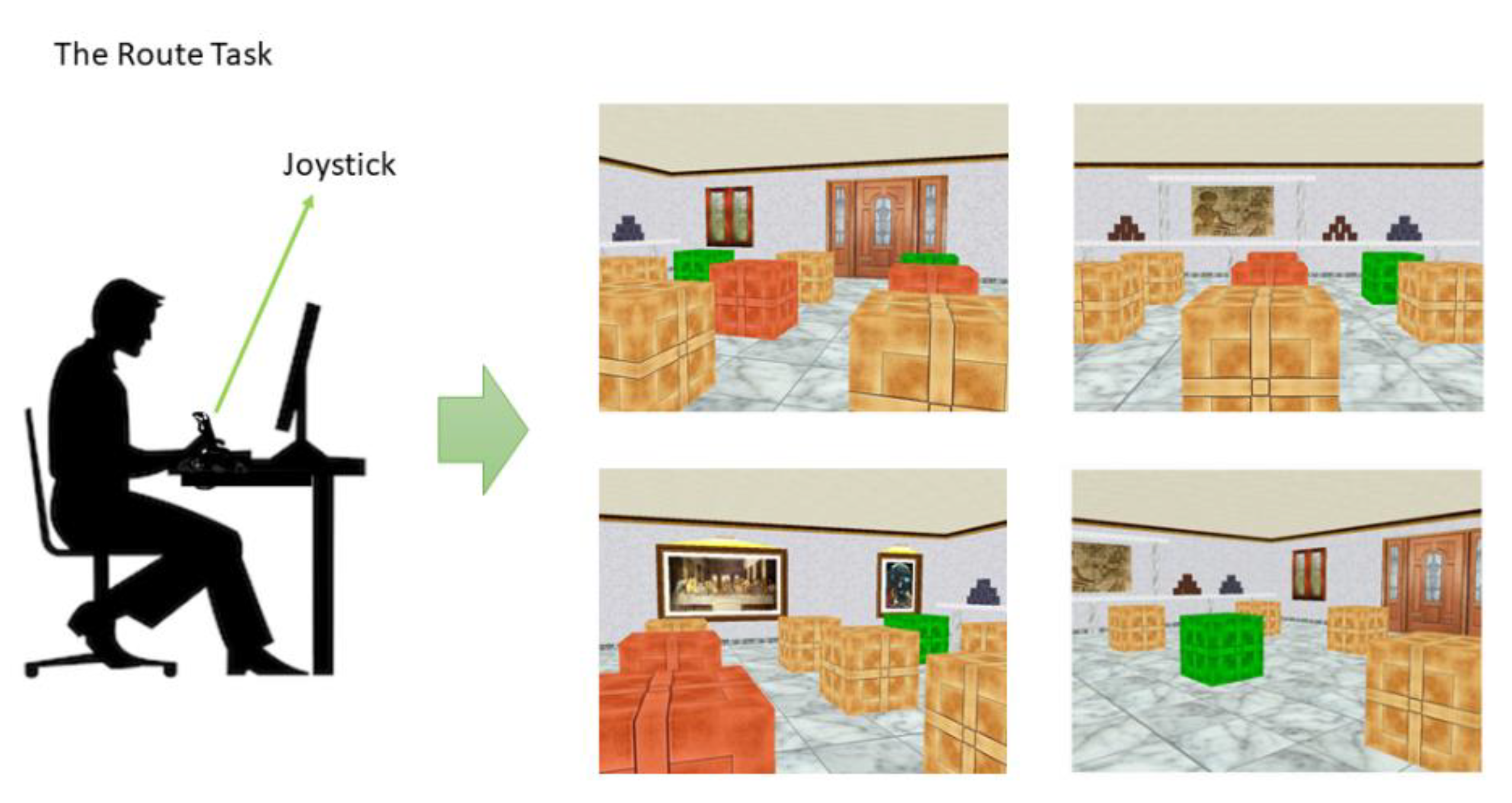 Brainsci 11 00681 g001