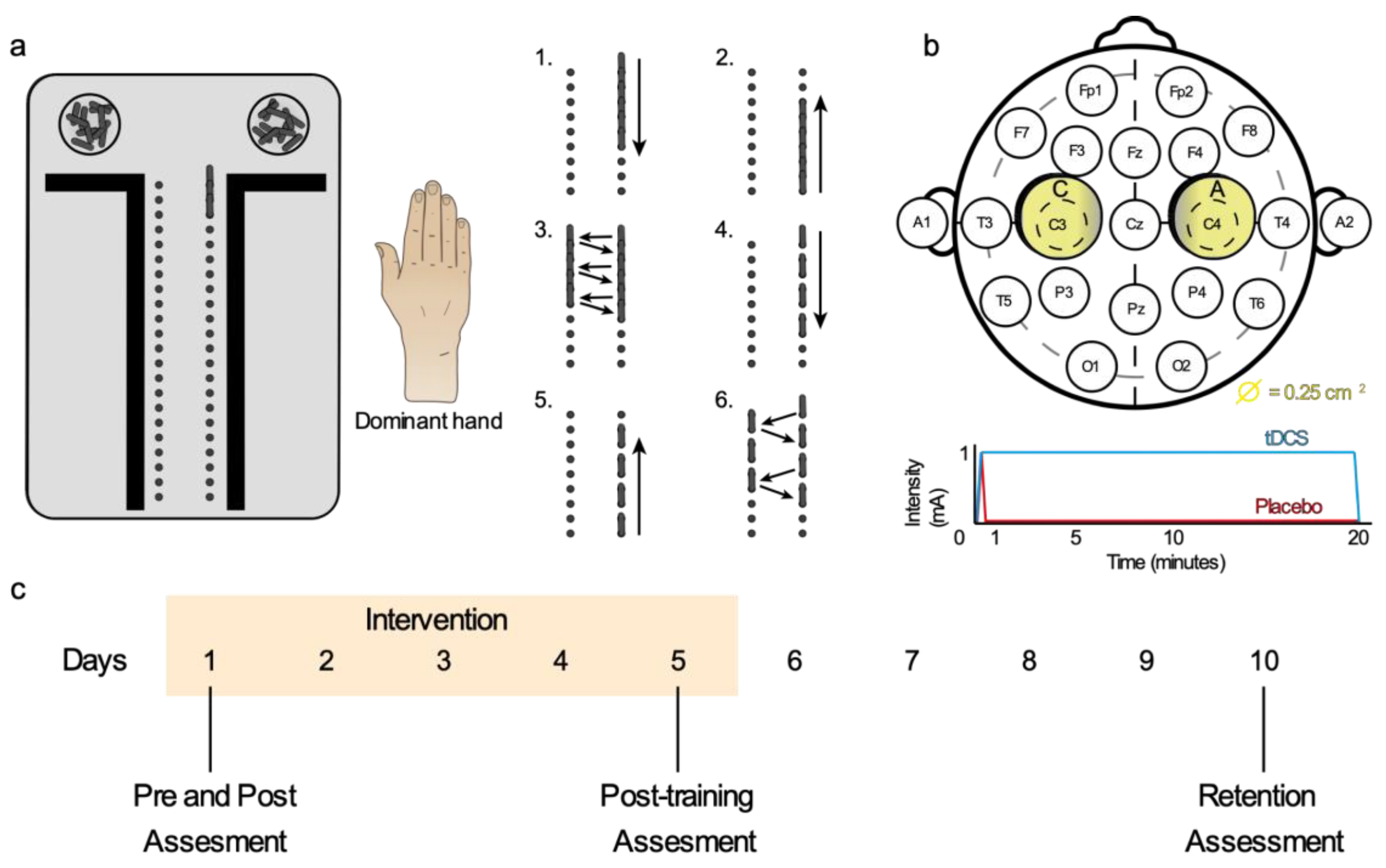Brainsci 11 00691 g002 Brainsci 11 00691 g002